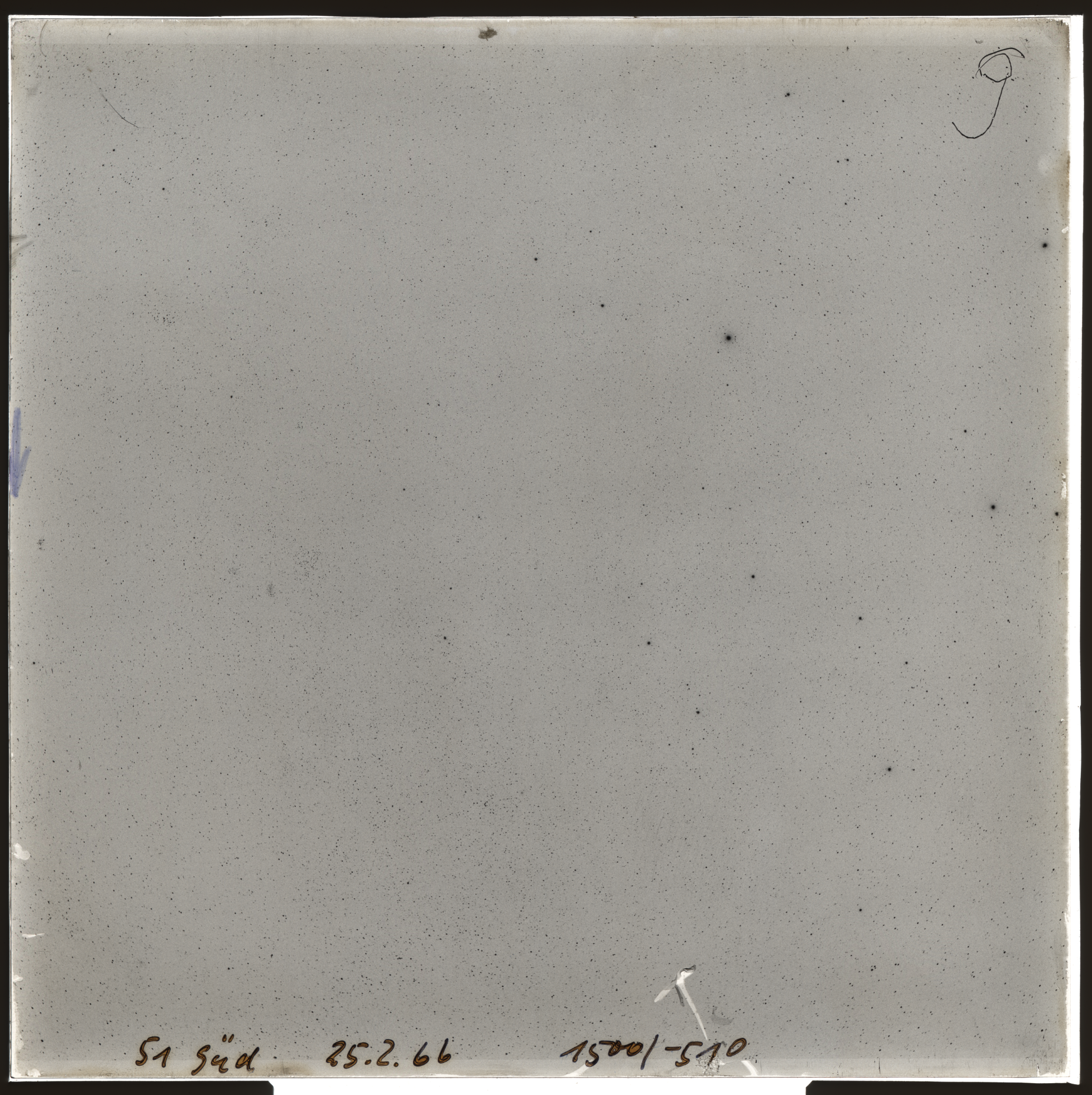 Plate preview