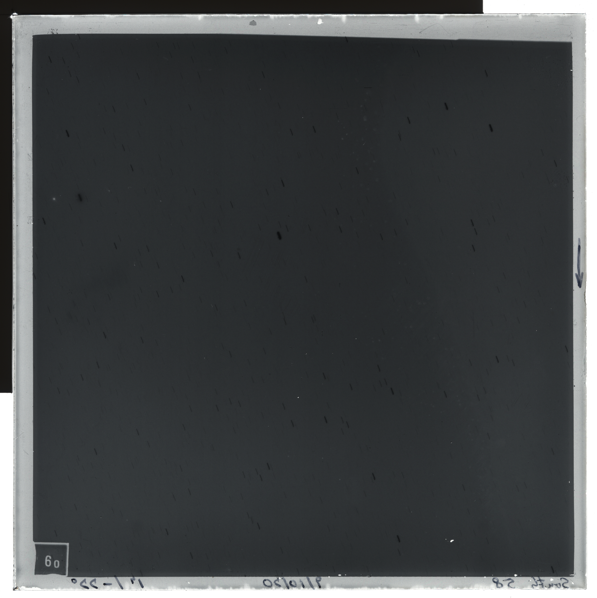Plate preview