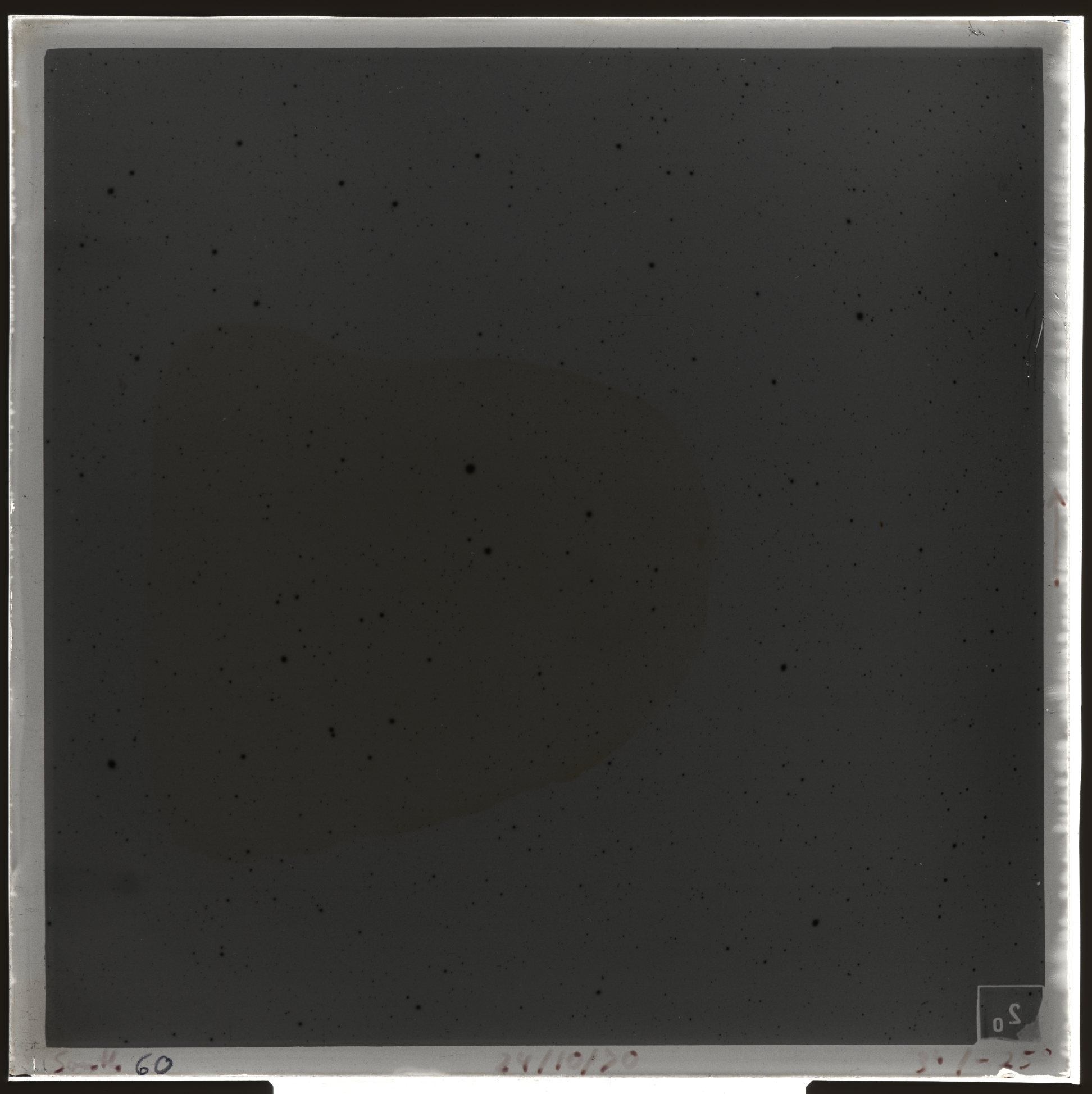 Plate preview