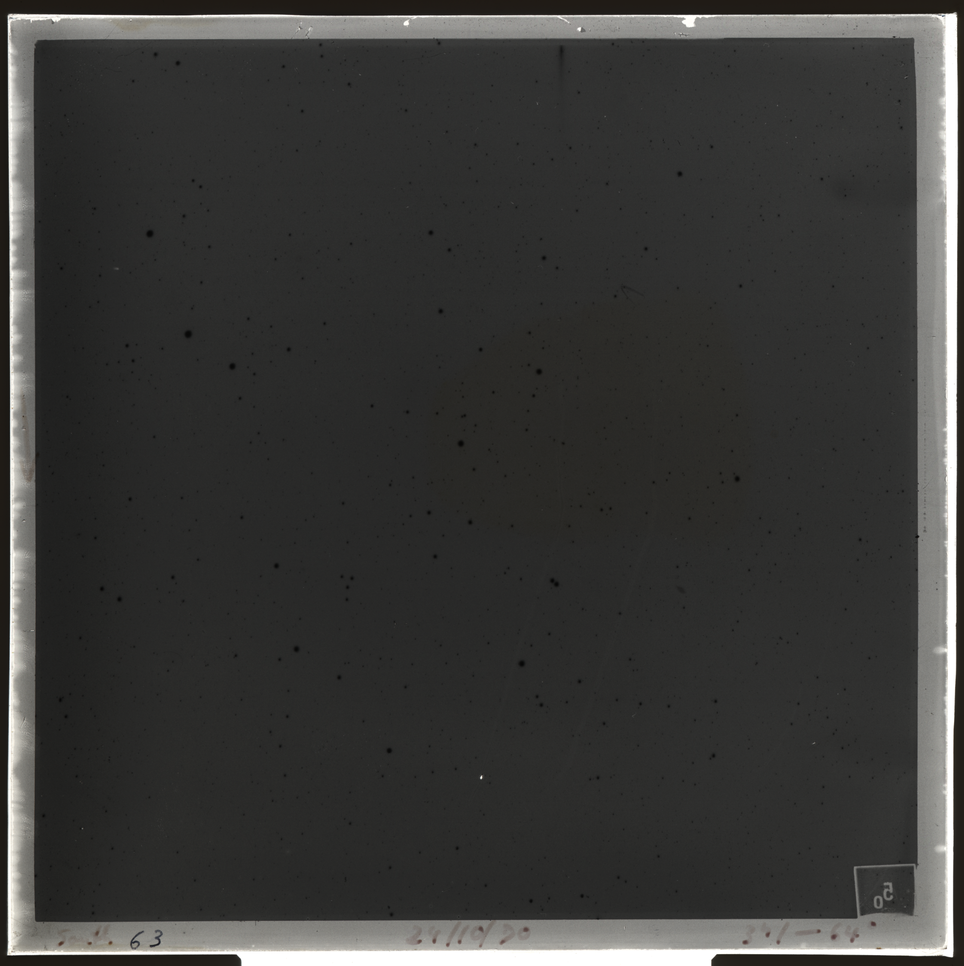 Plate preview
