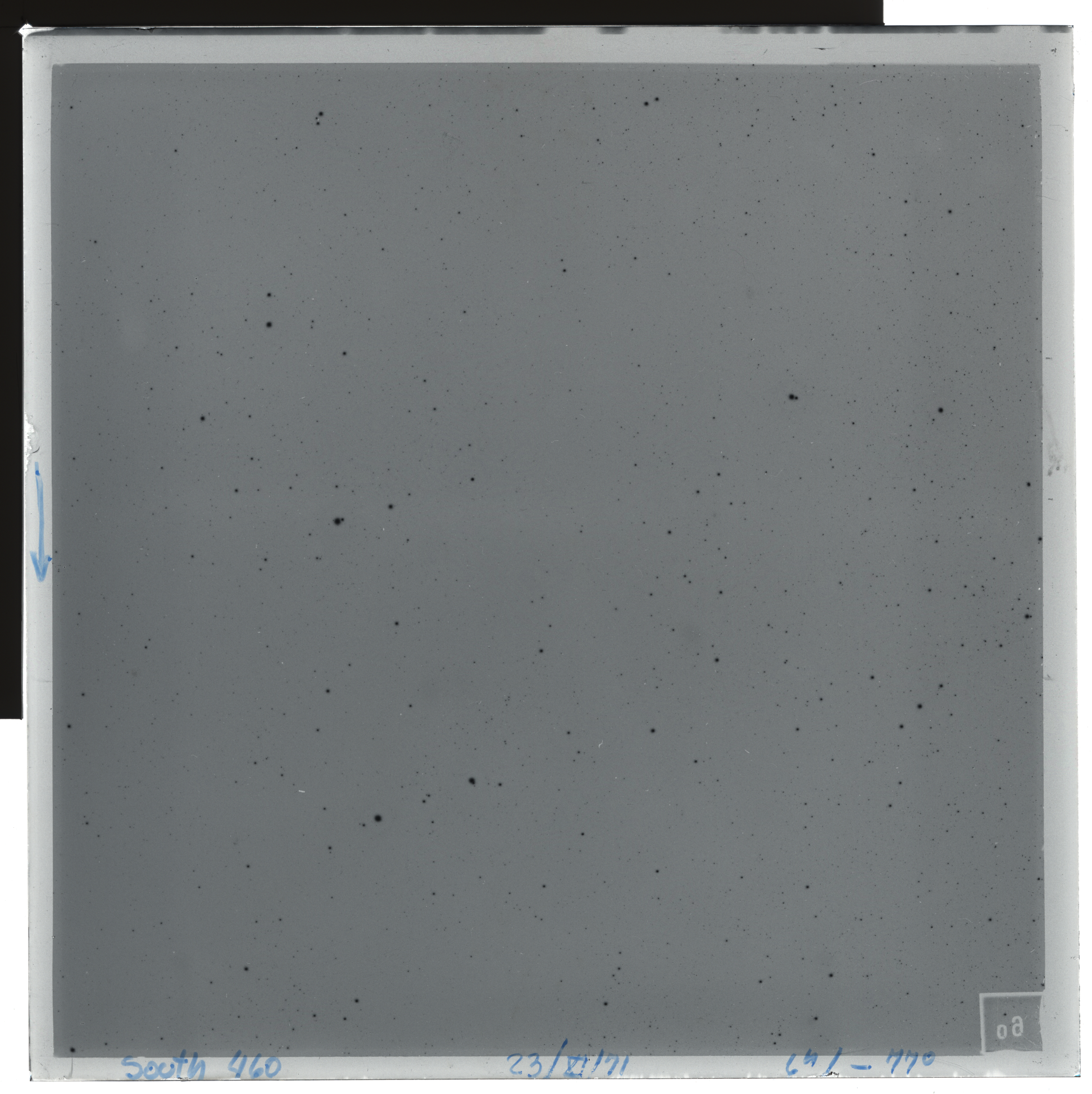 Plate preview