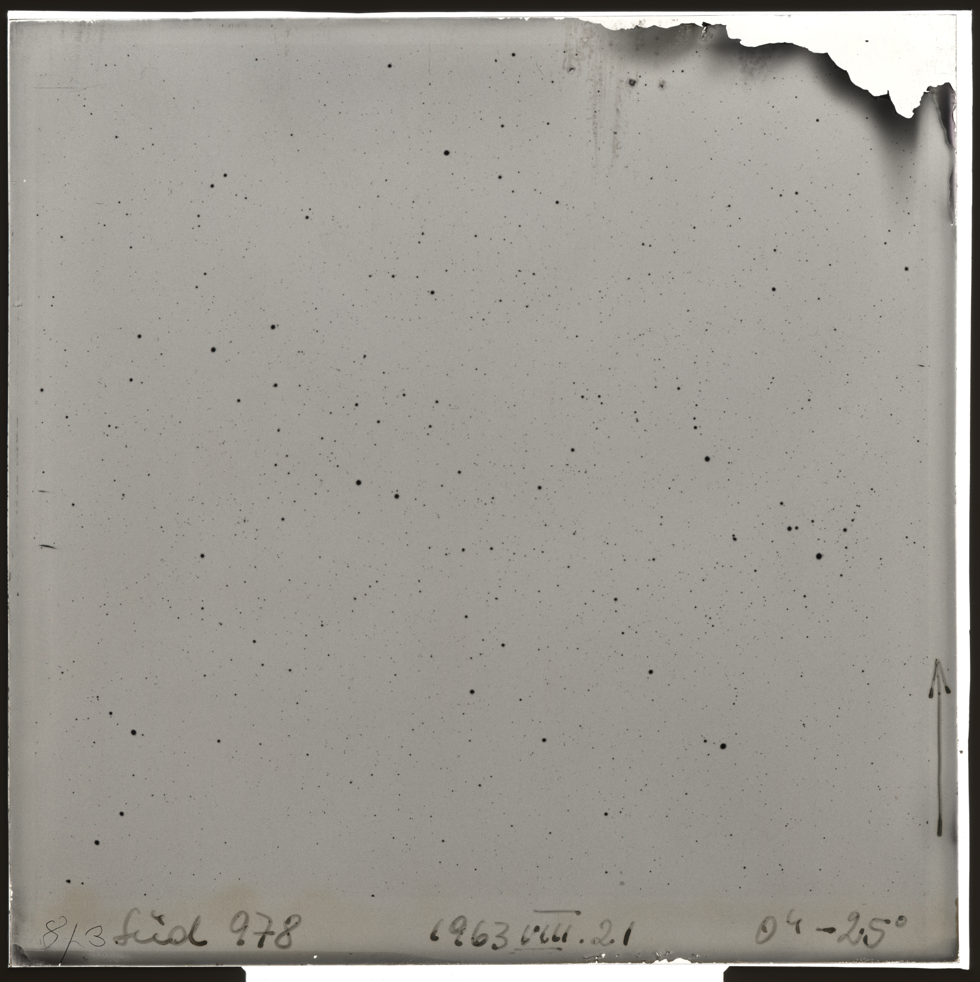 Plate preview