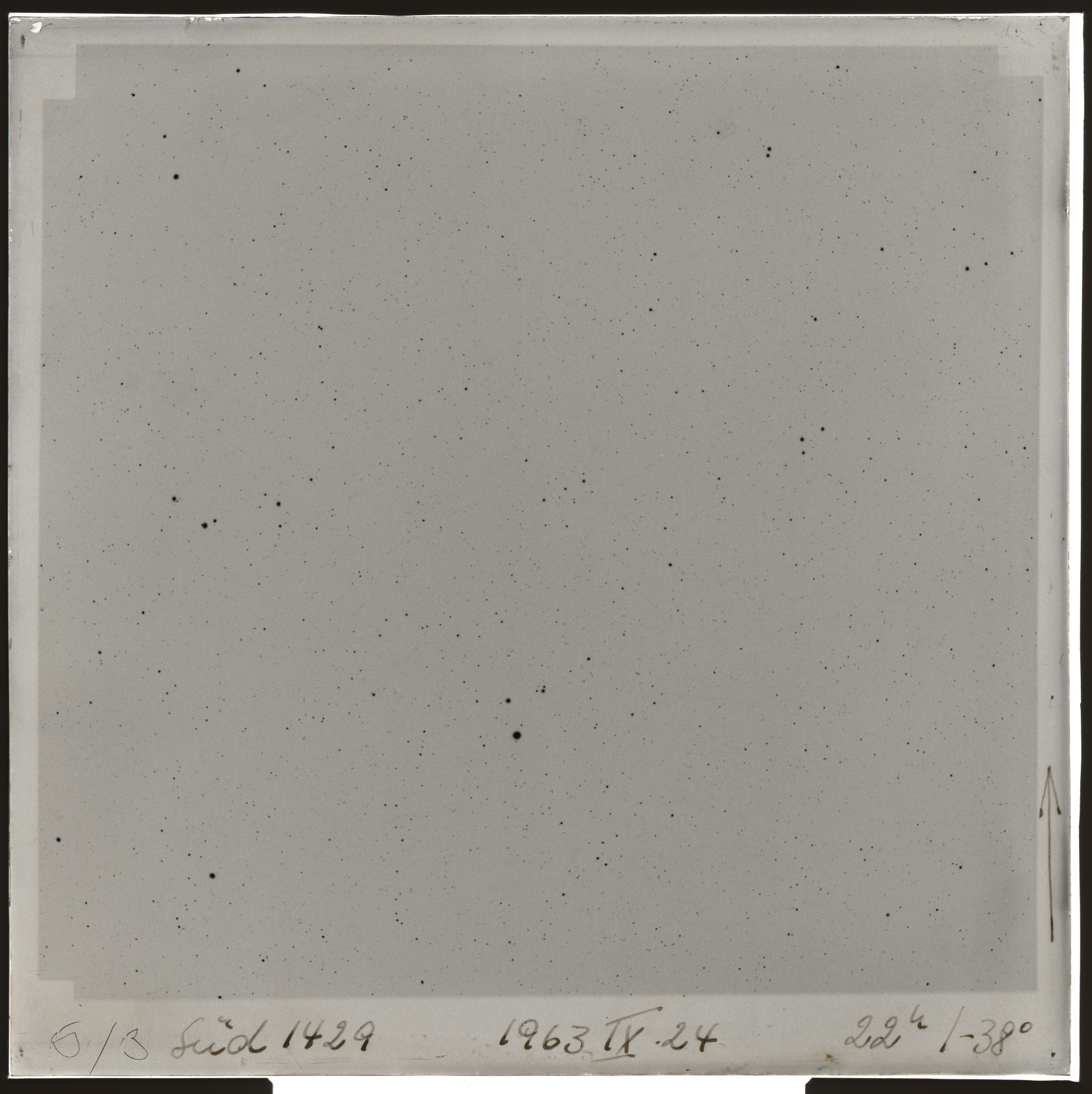 Plate preview
