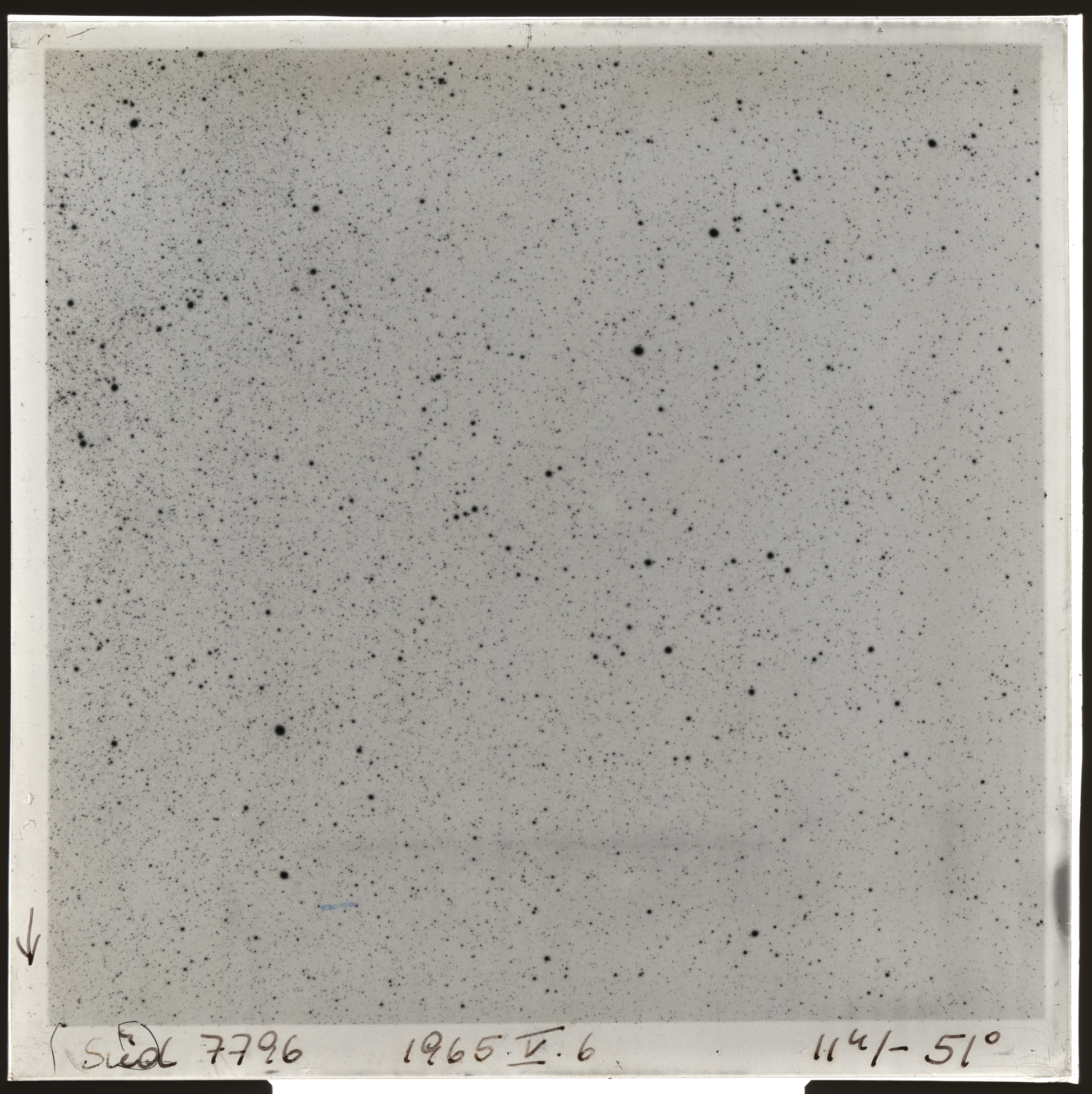 Plate preview