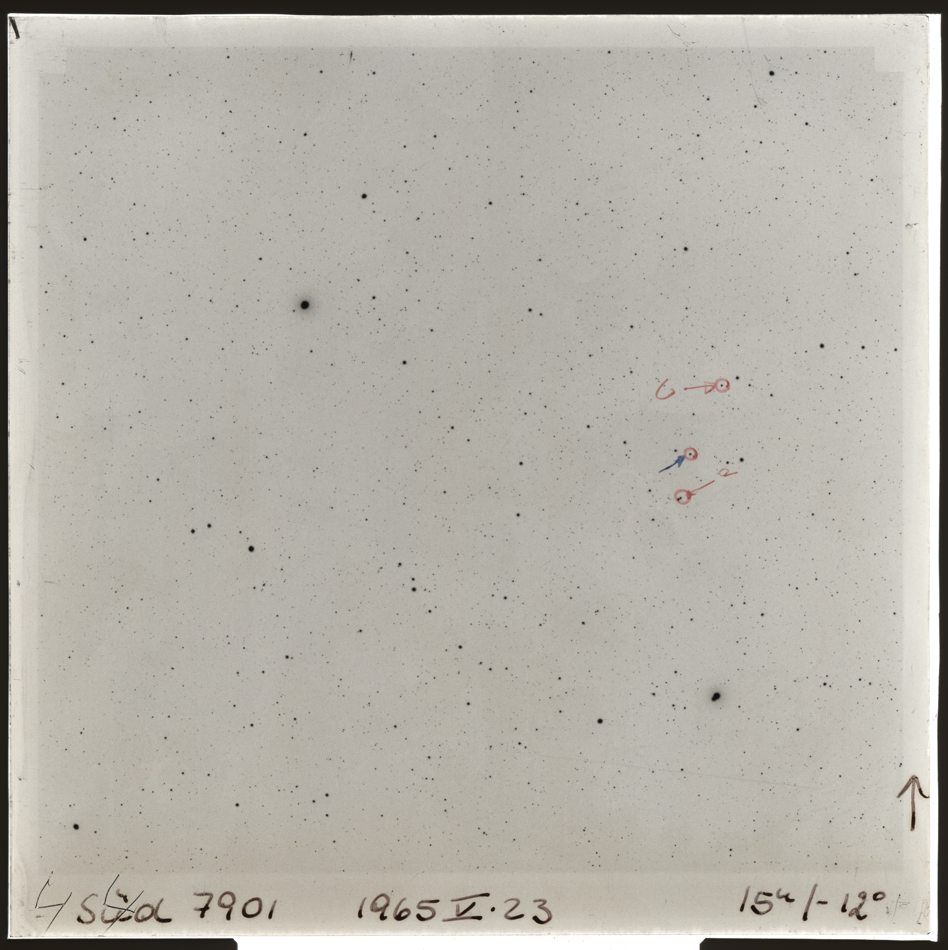 Plate preview