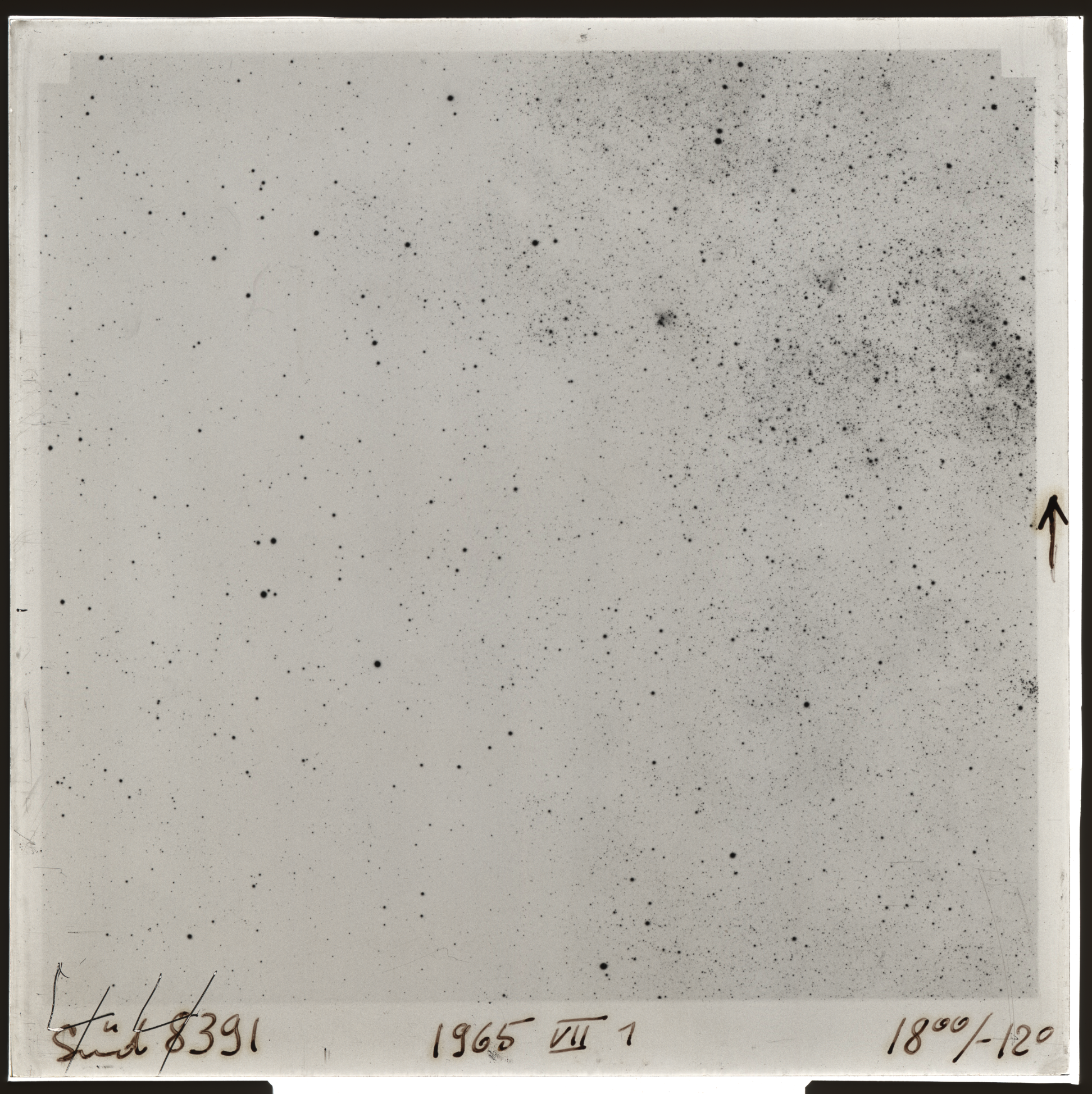 Plate preview