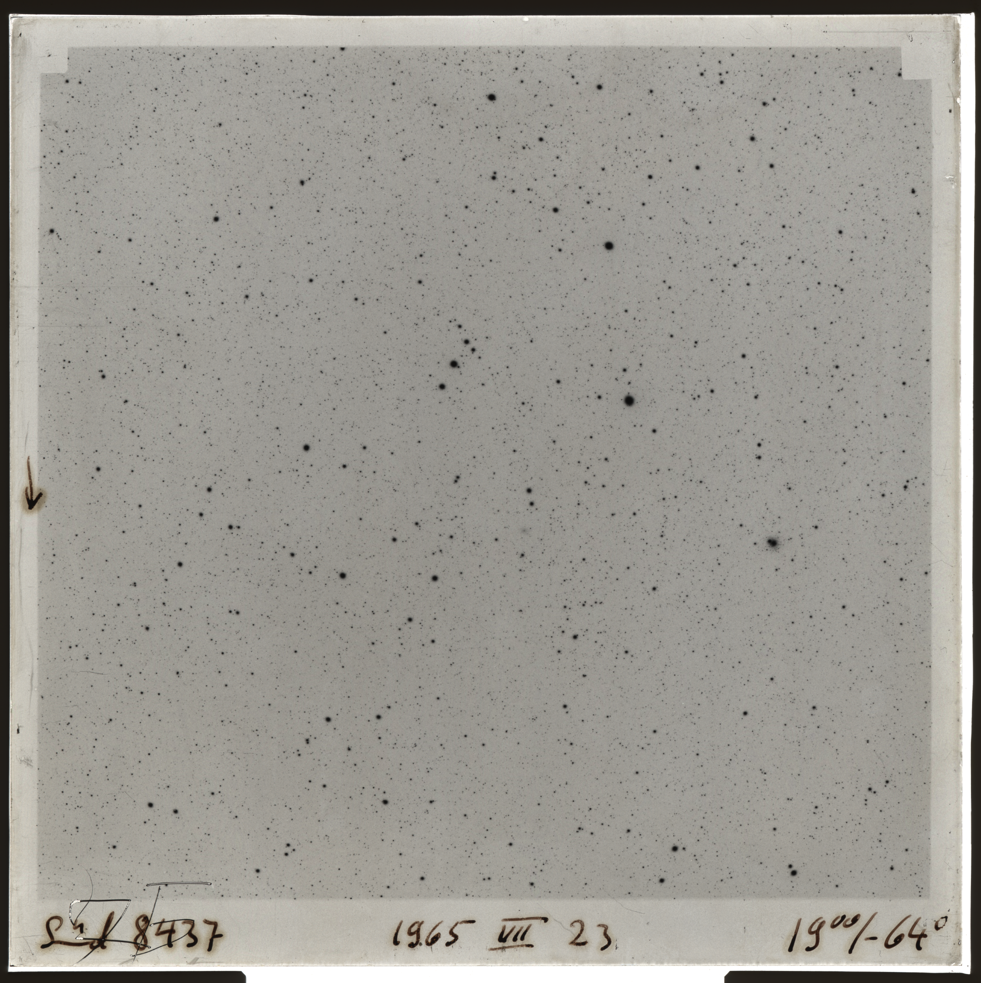 Plate preview