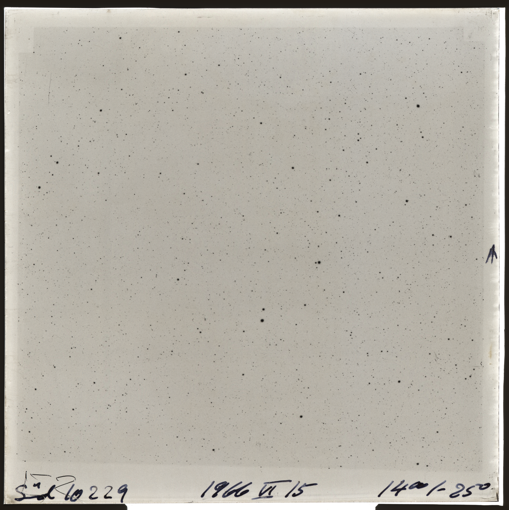 Plate preview