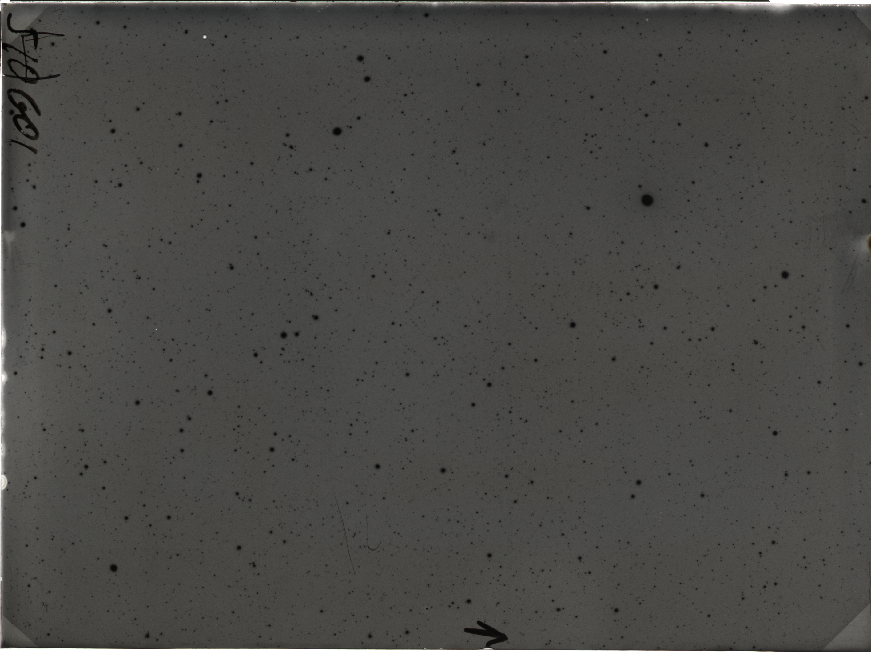 Plate preview
