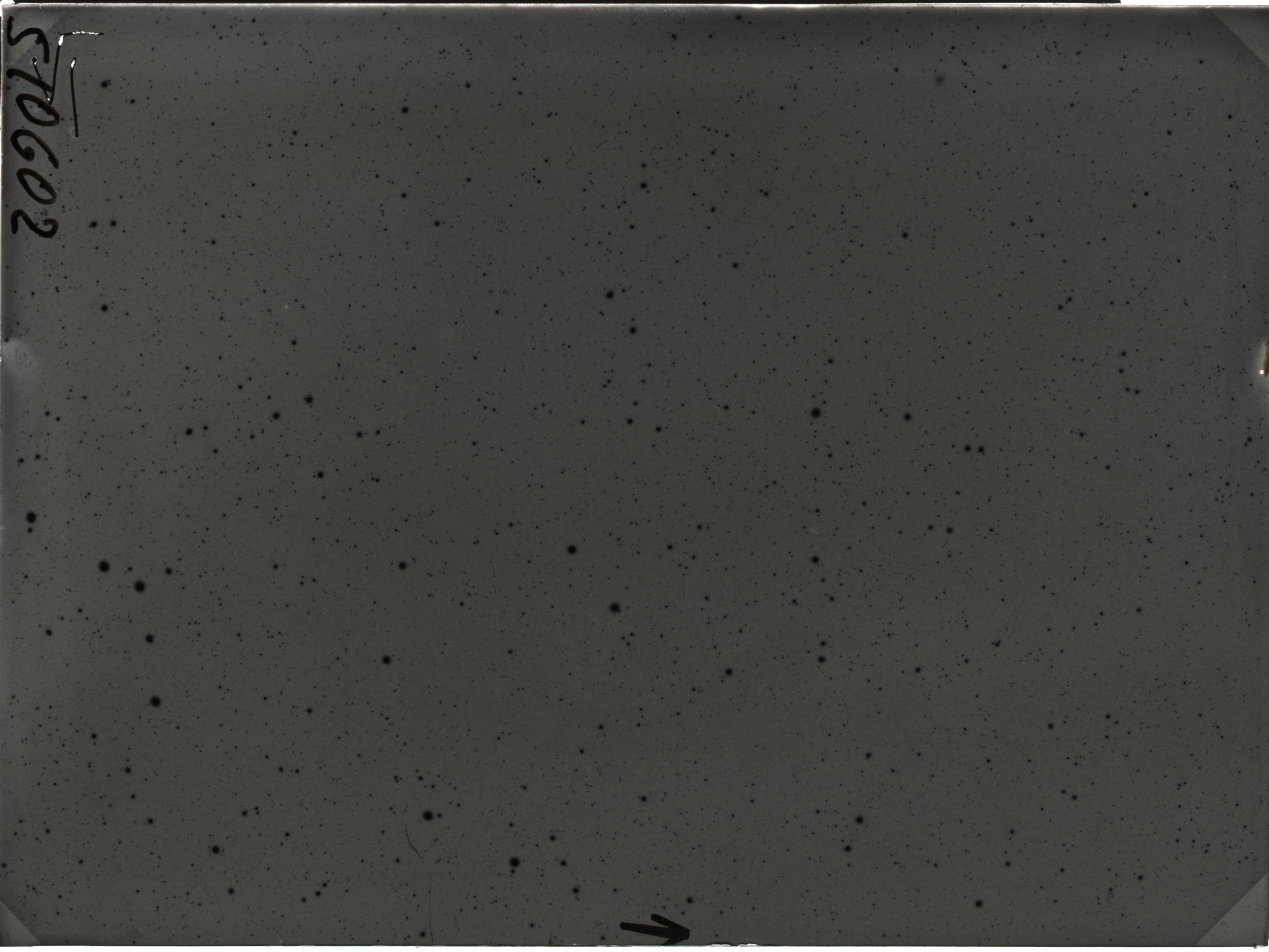 Plate preview