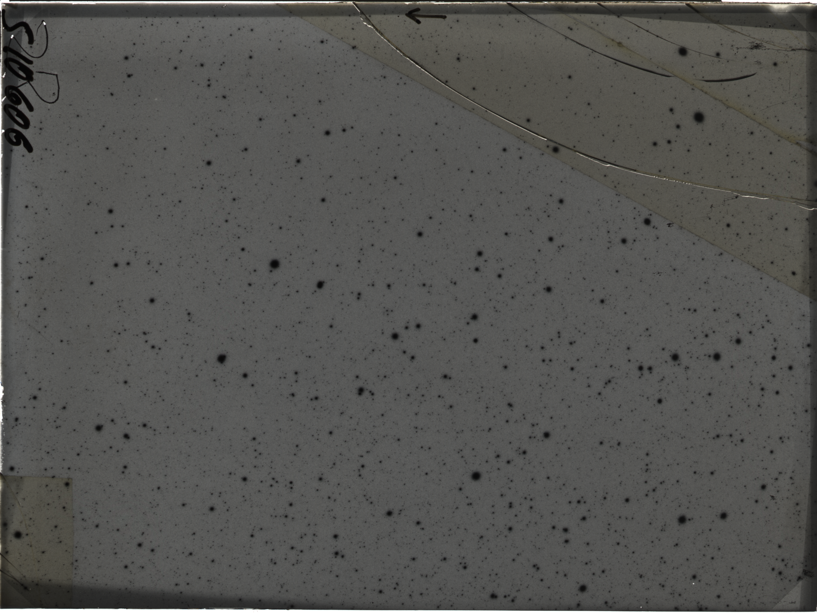 Plate preview