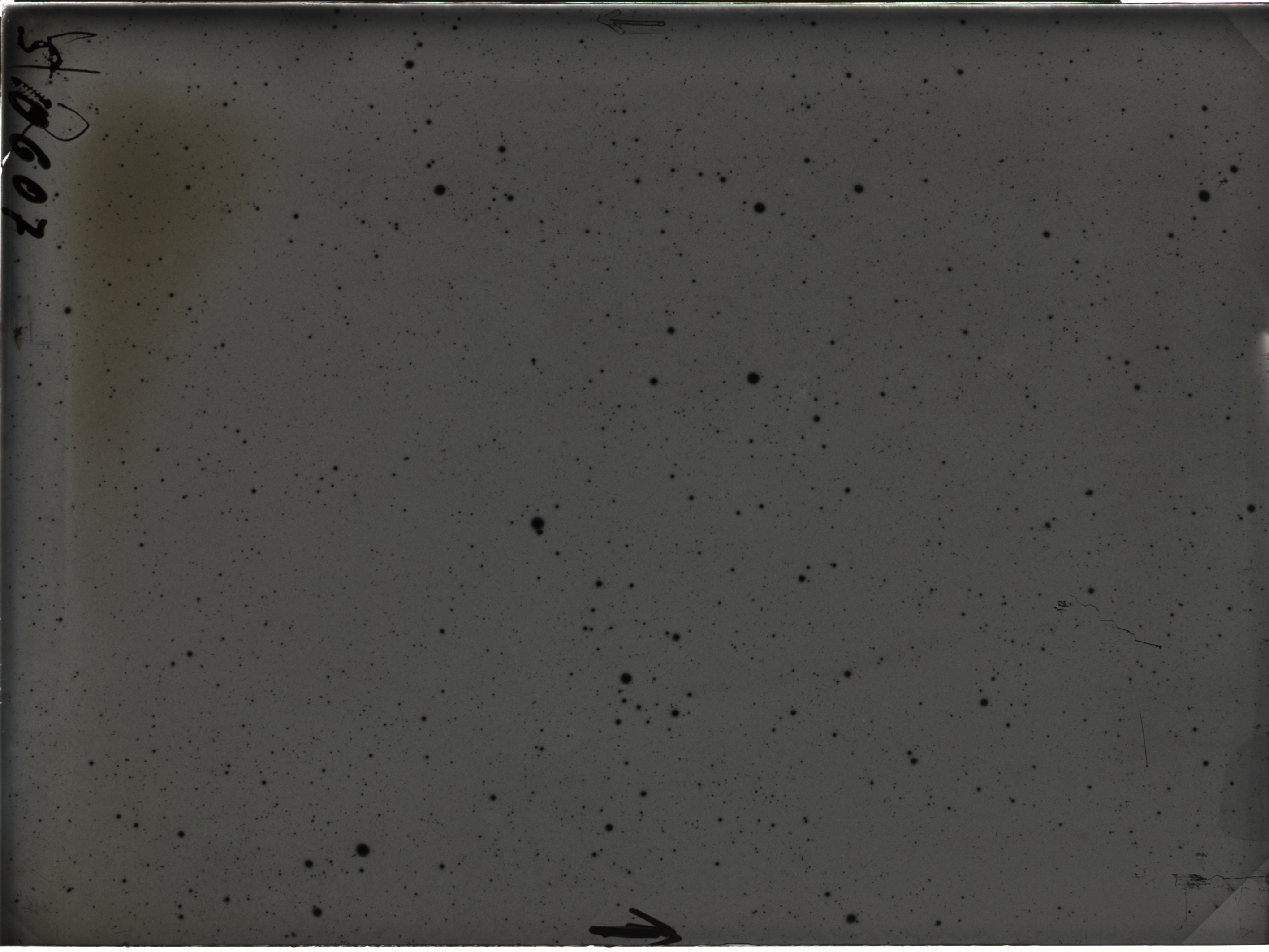 Plate preview
