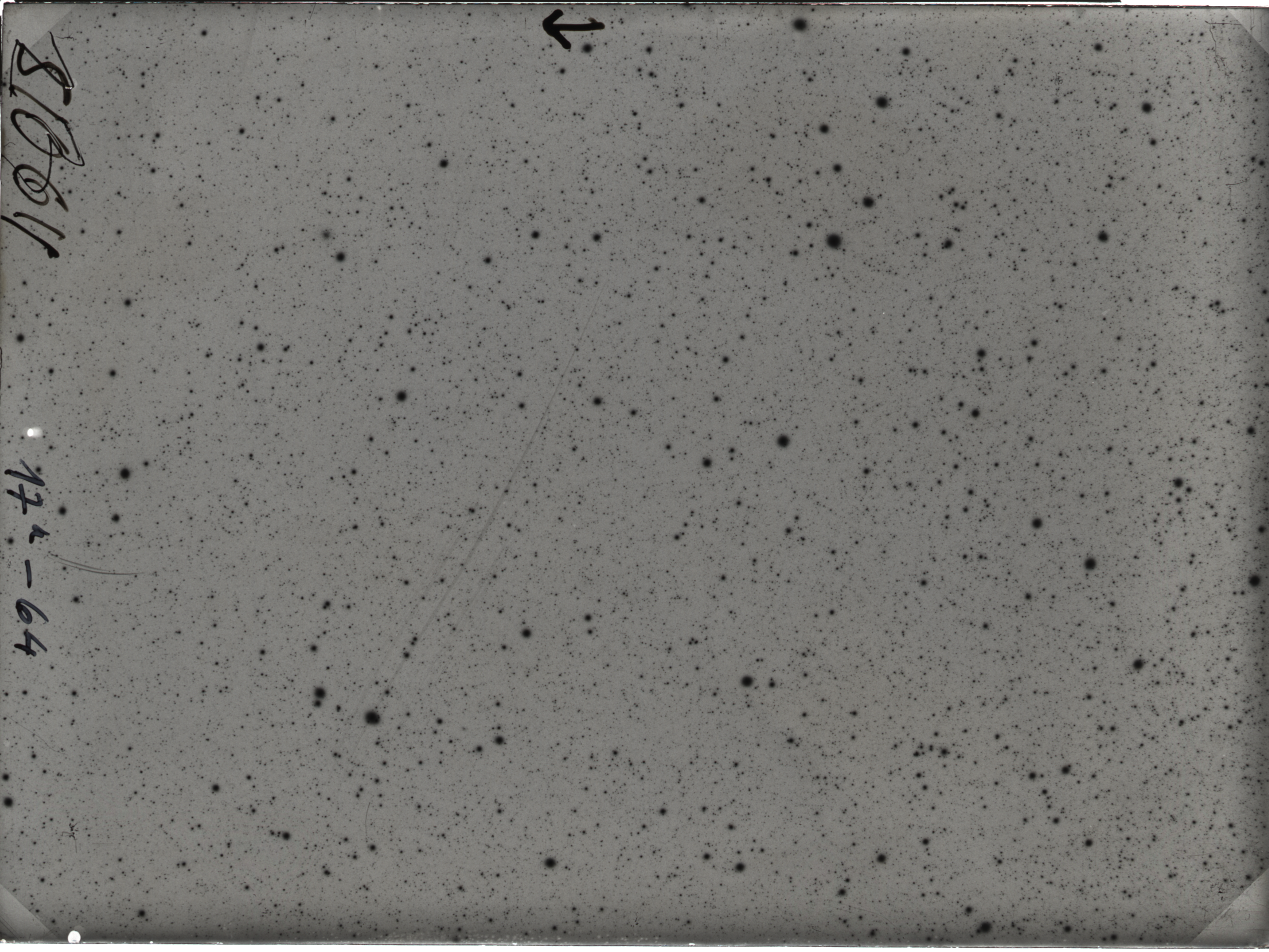 Plate preview