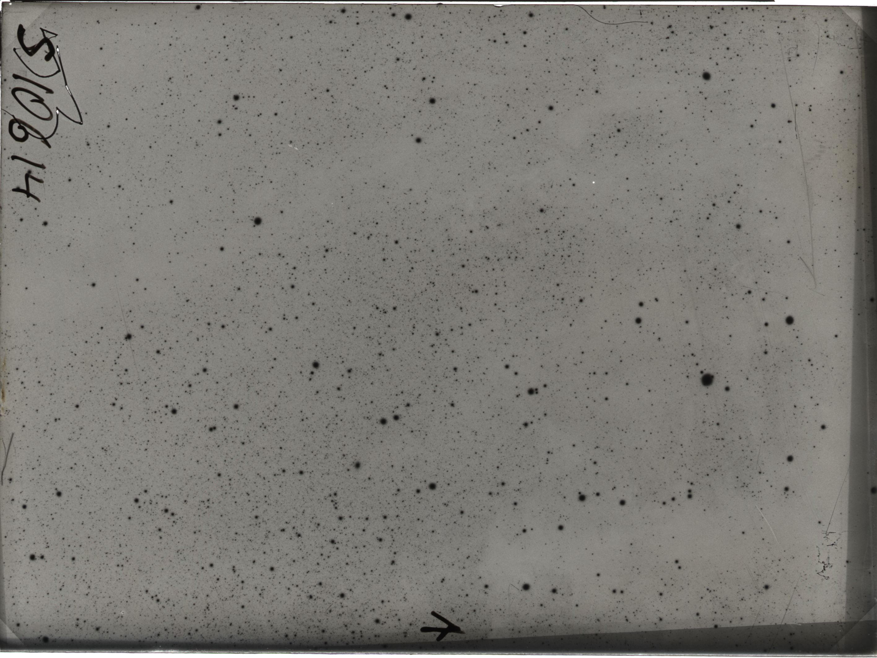 Plate preview