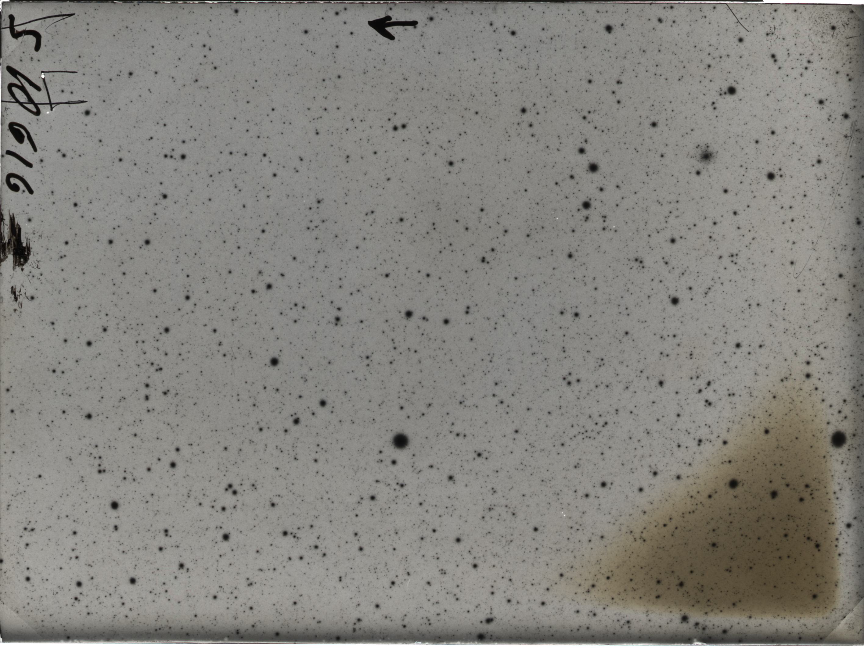 Plate preview