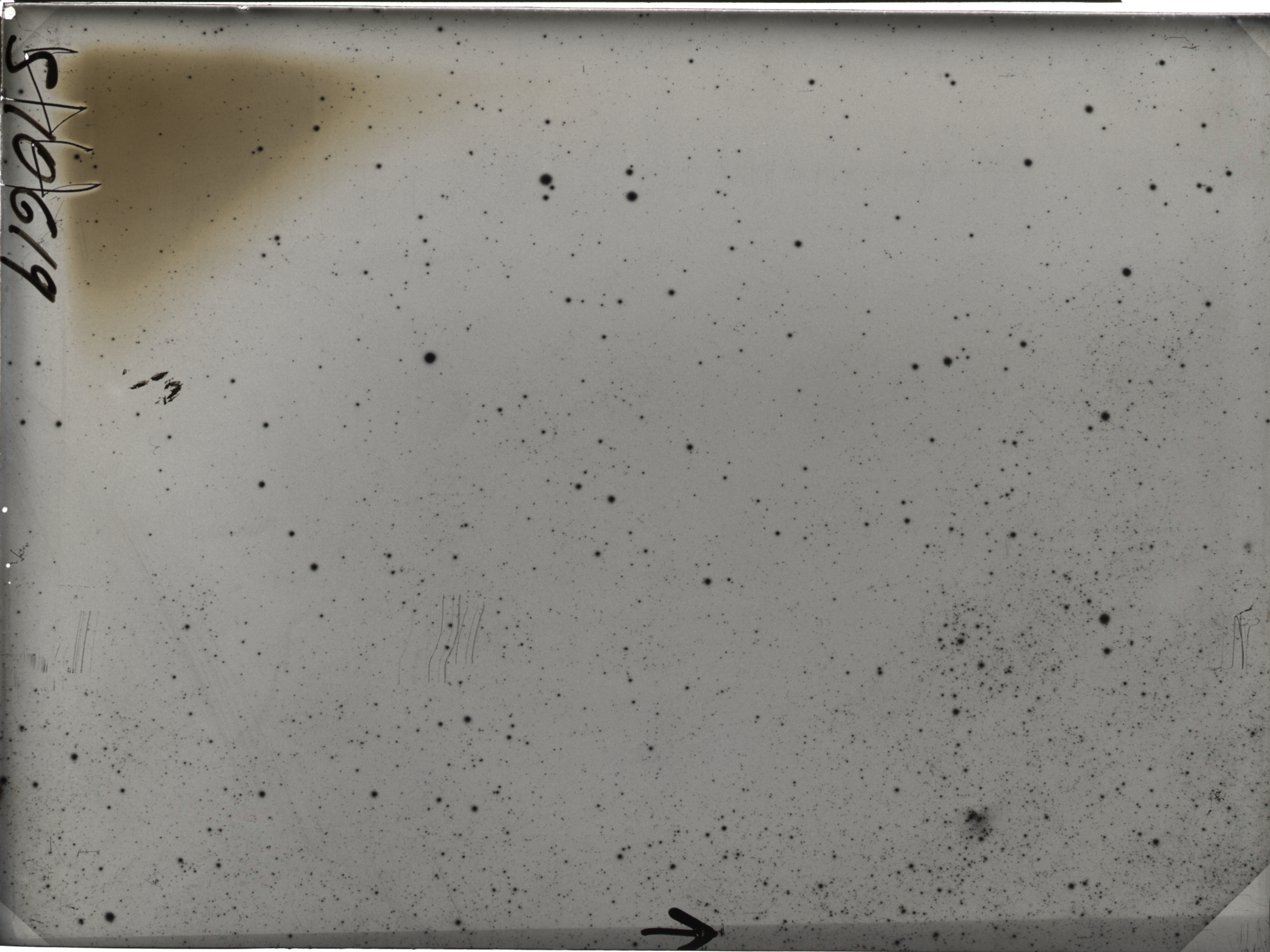 Plate preview