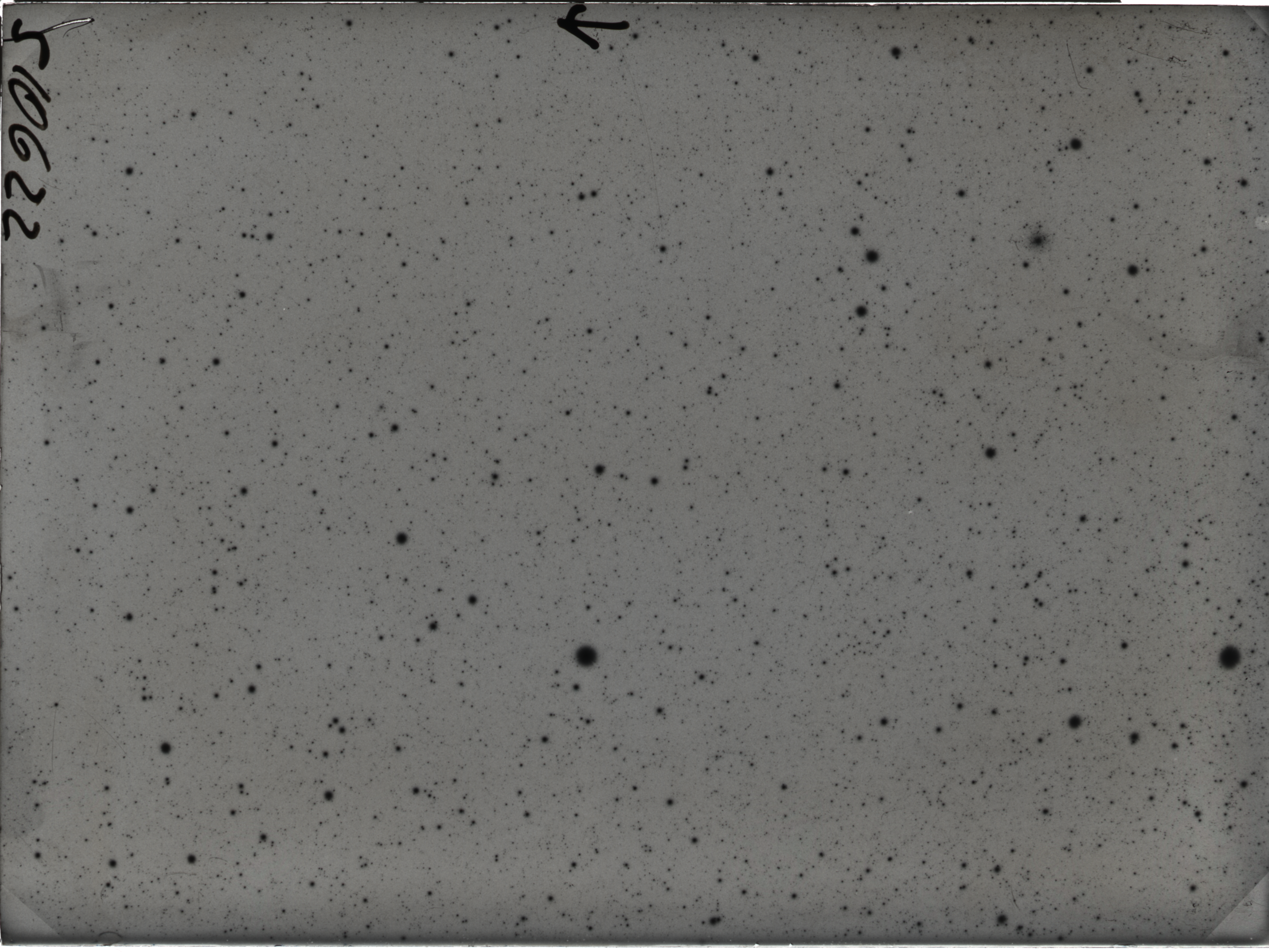 Plate preview