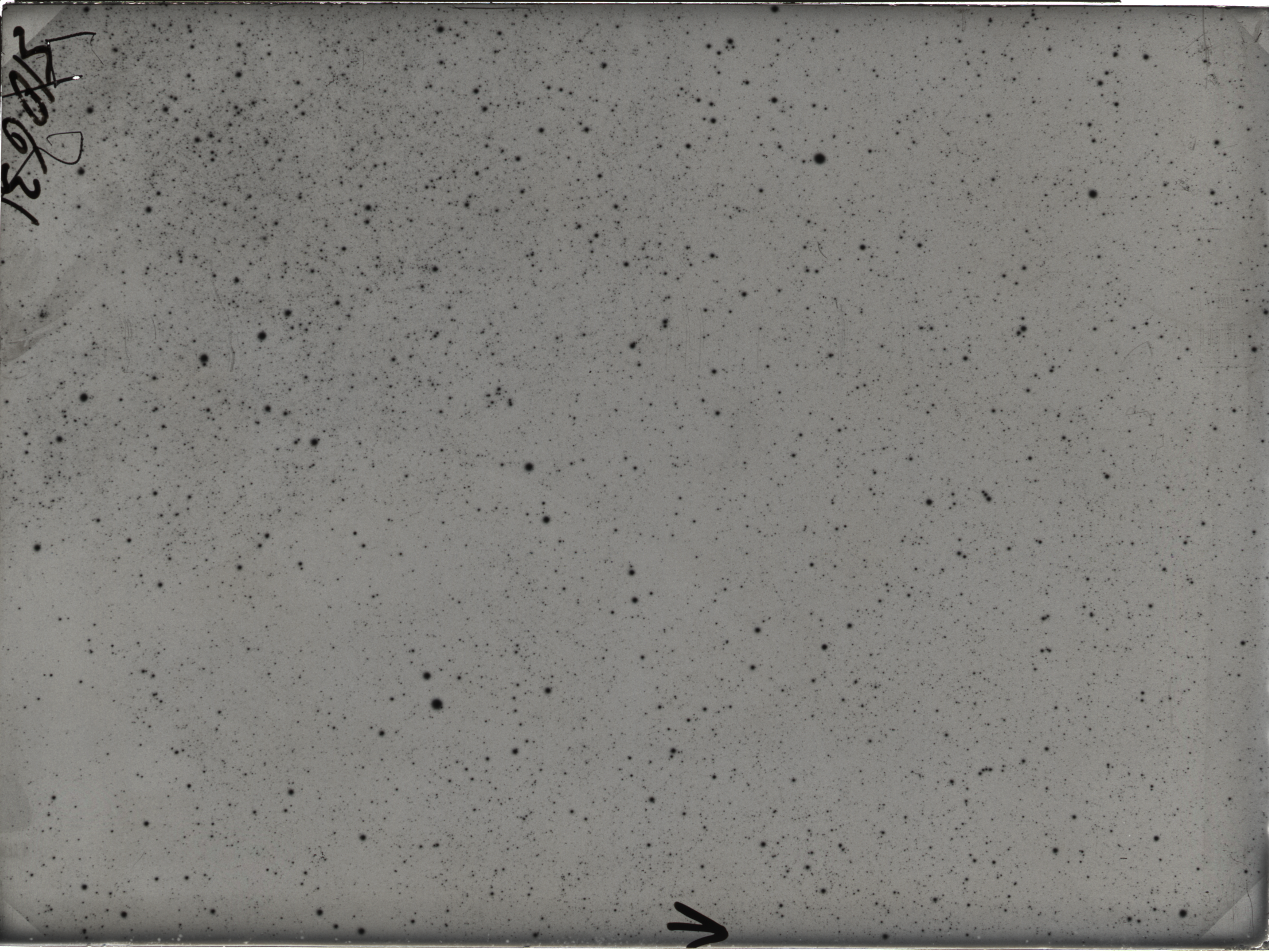 Plate preview