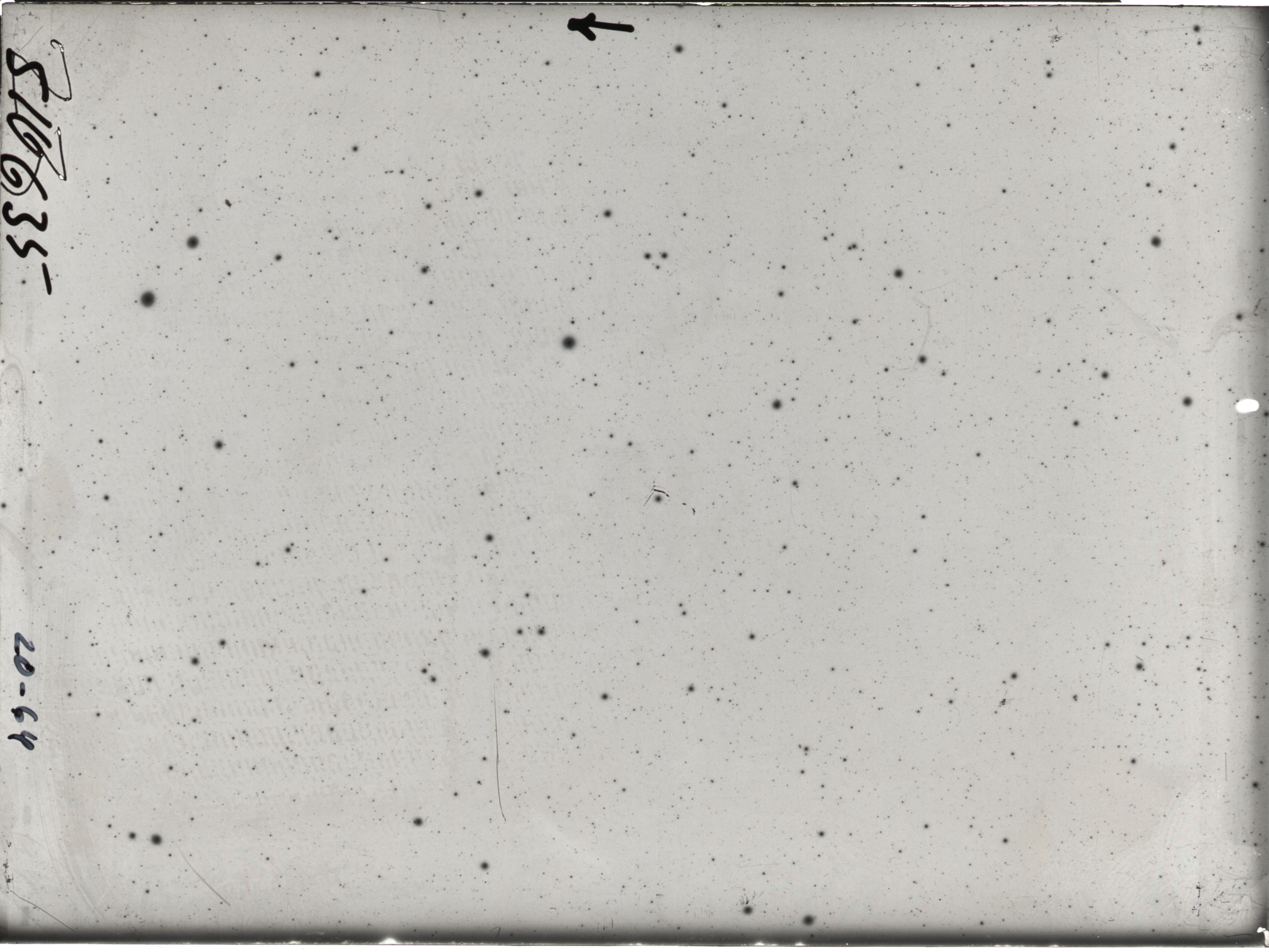 Plate preview