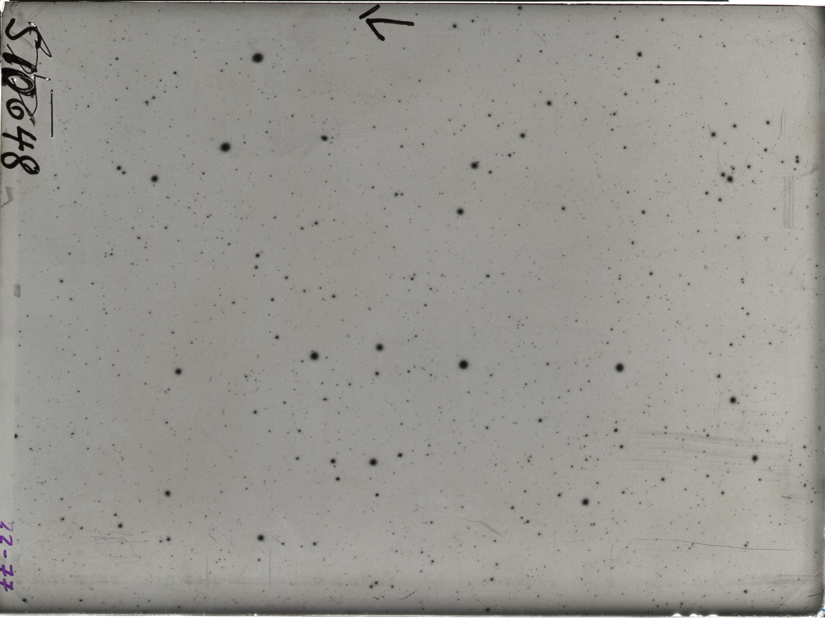 Plate preview