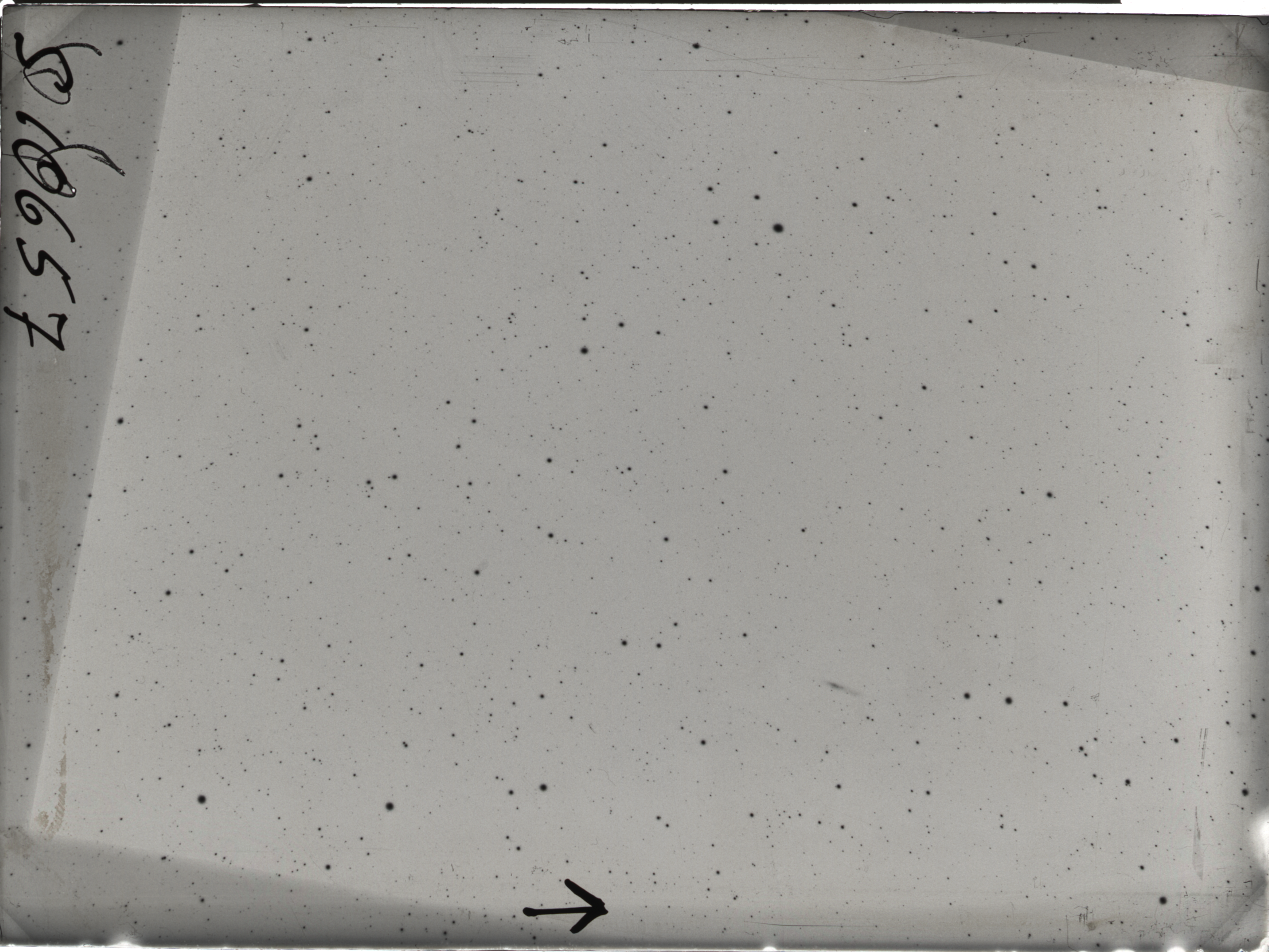 Plate preview