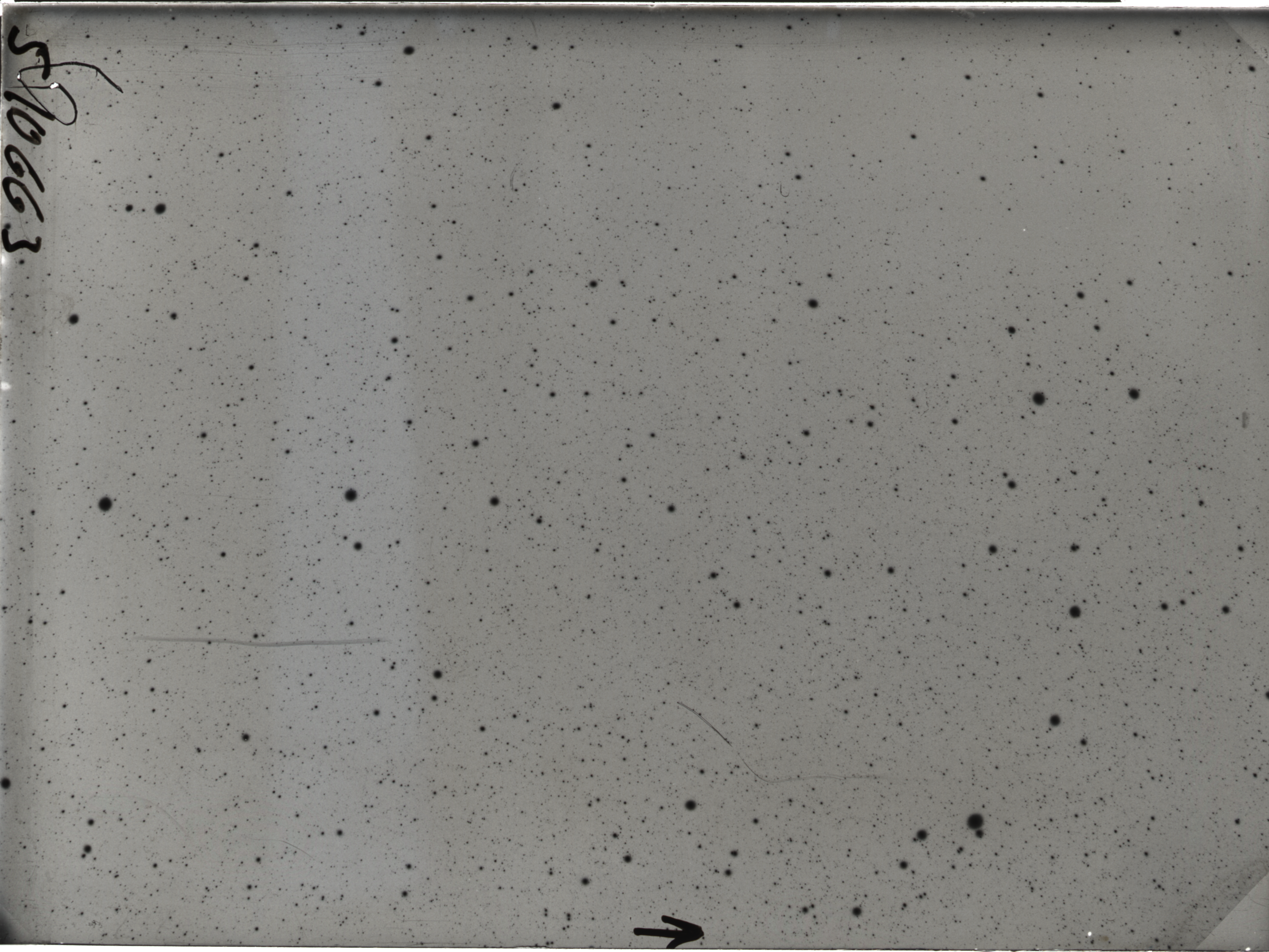 Plate preview