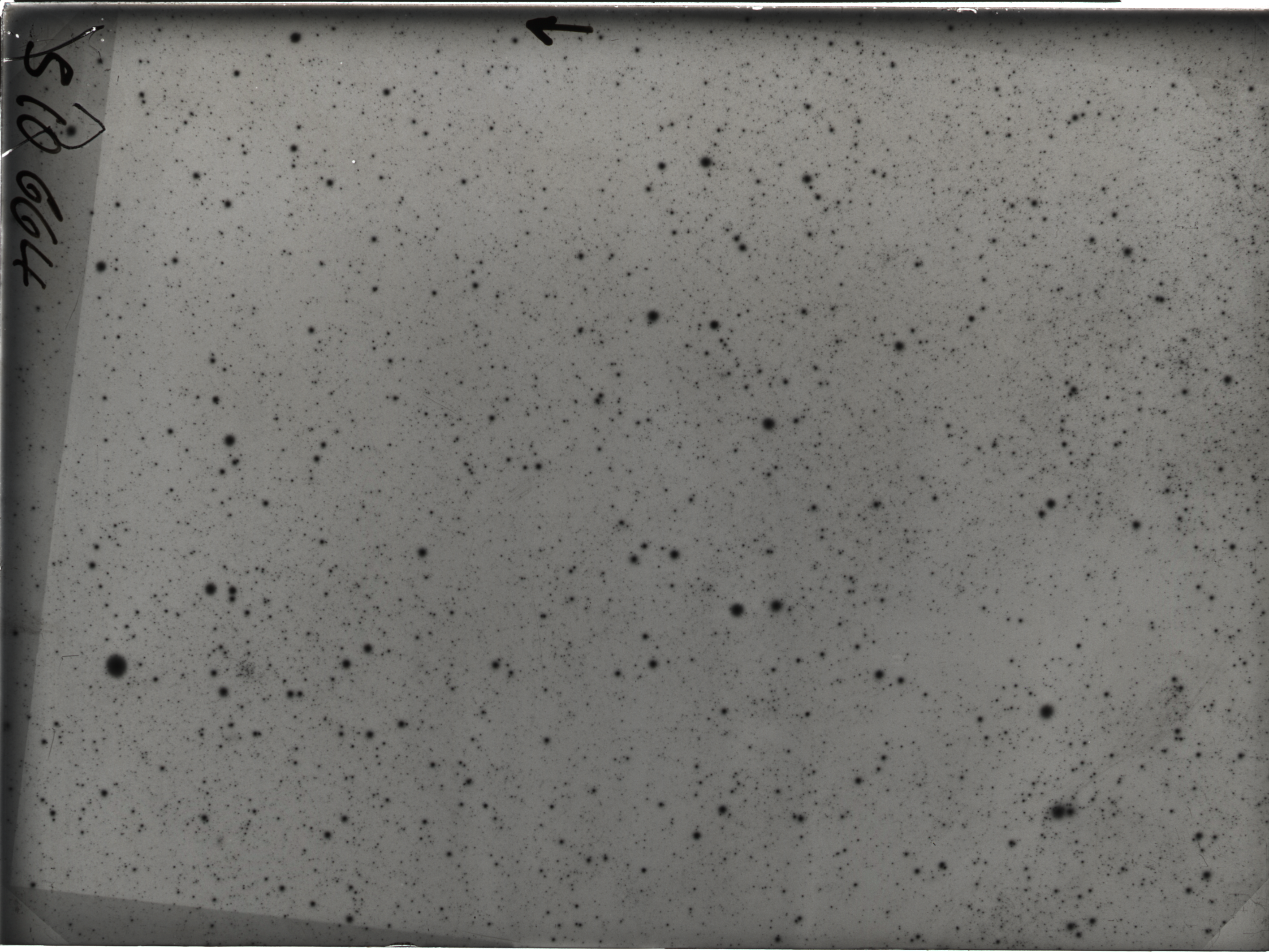 Plate preview