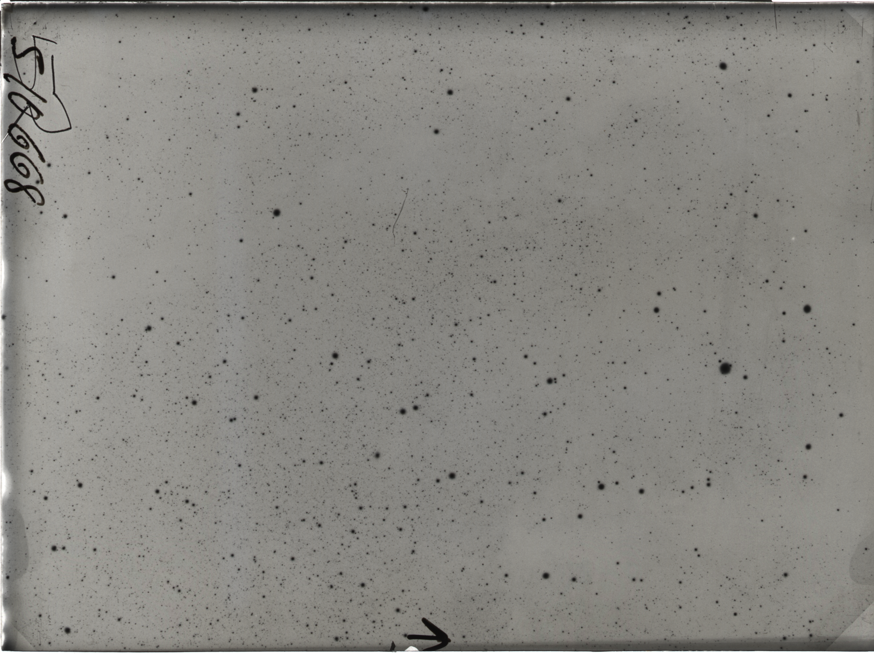 Plate preview