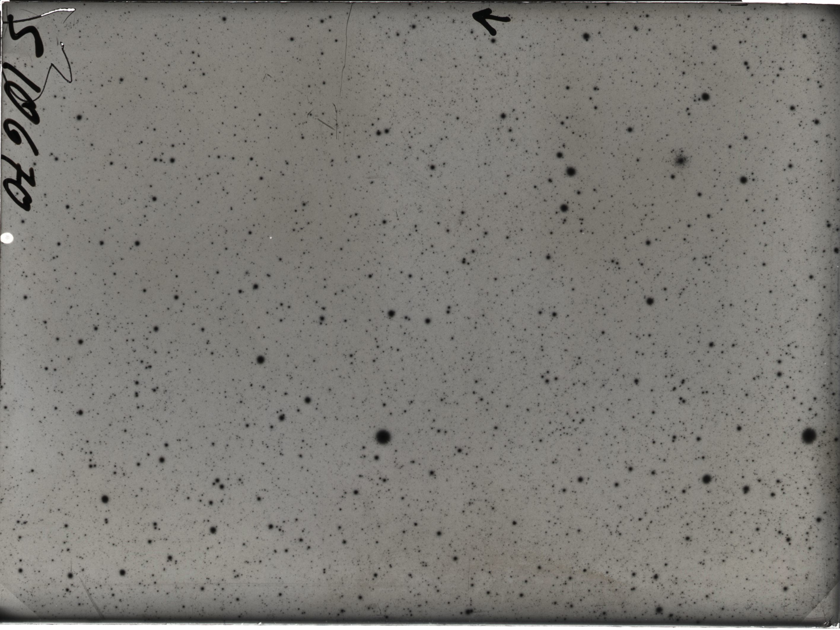 Plate preview