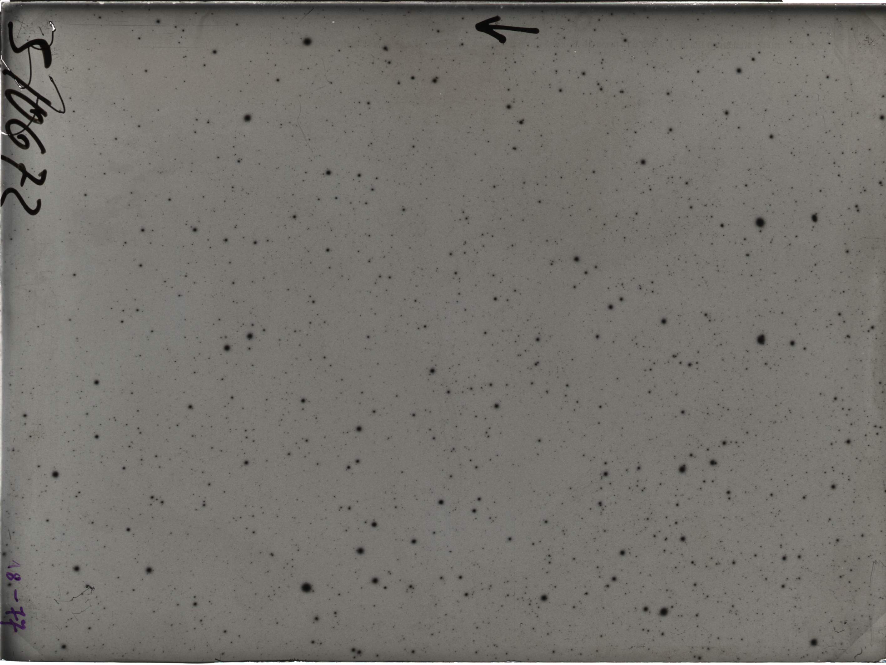 Plate preview