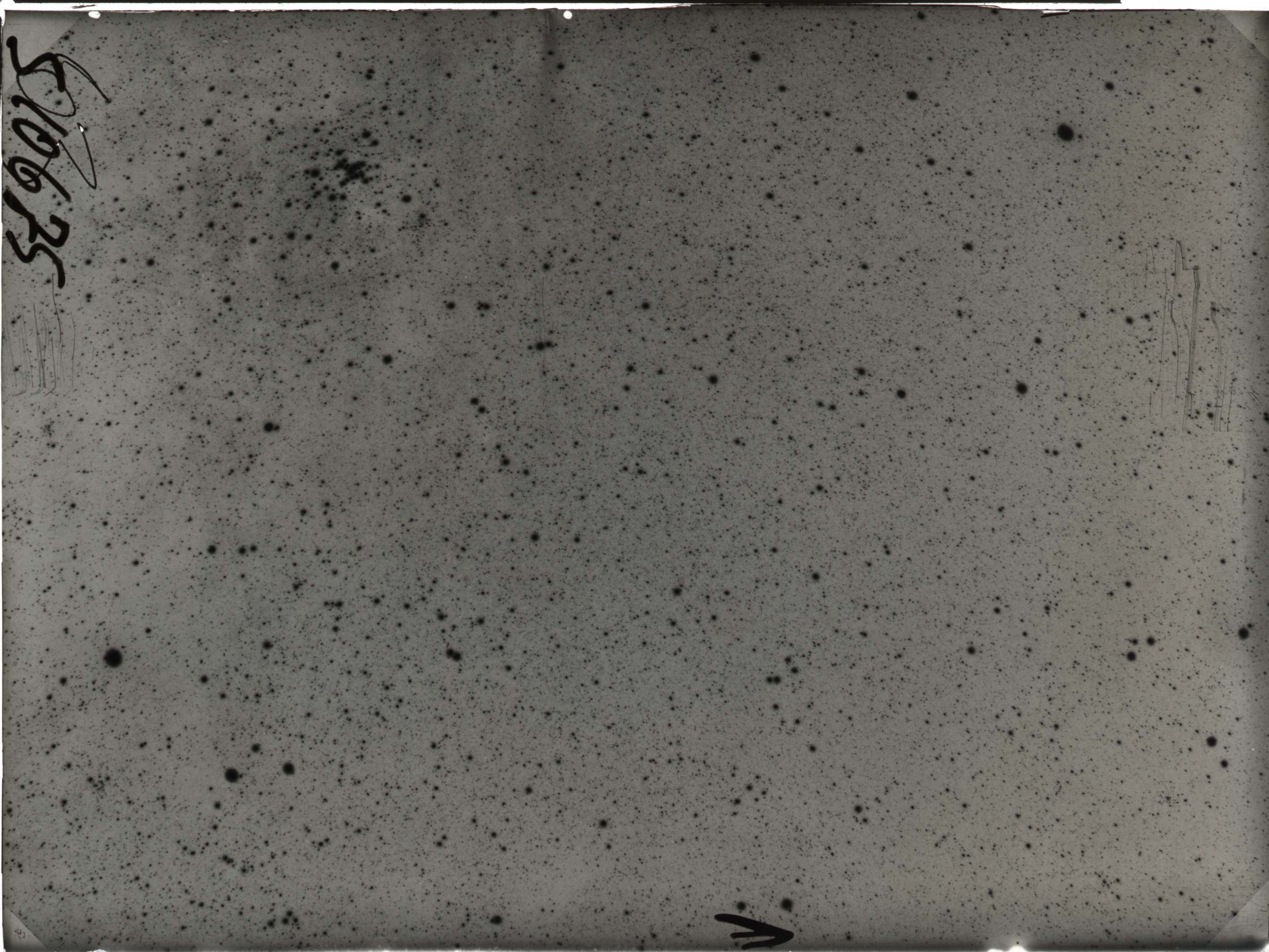 Plate preview