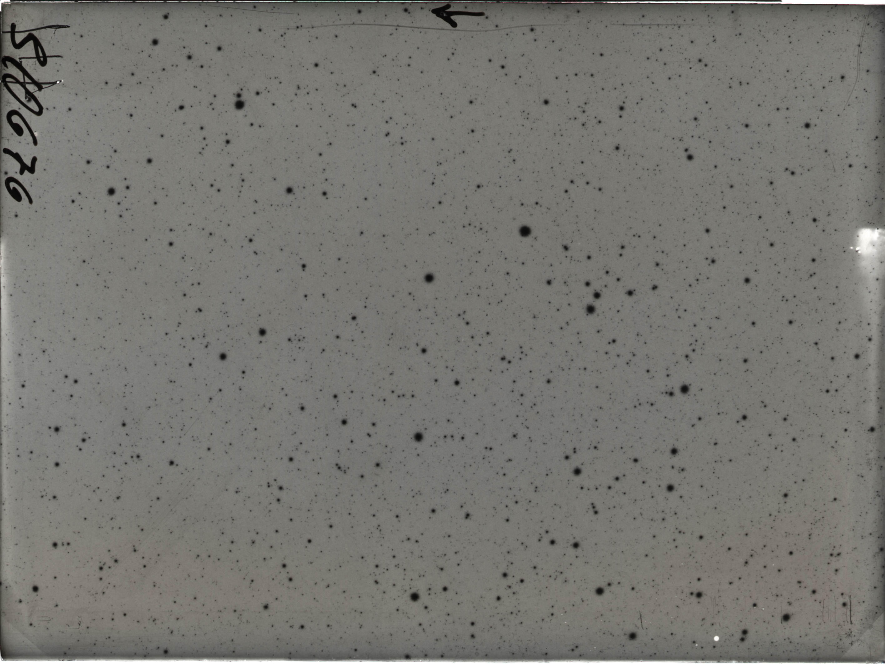 Plate preview