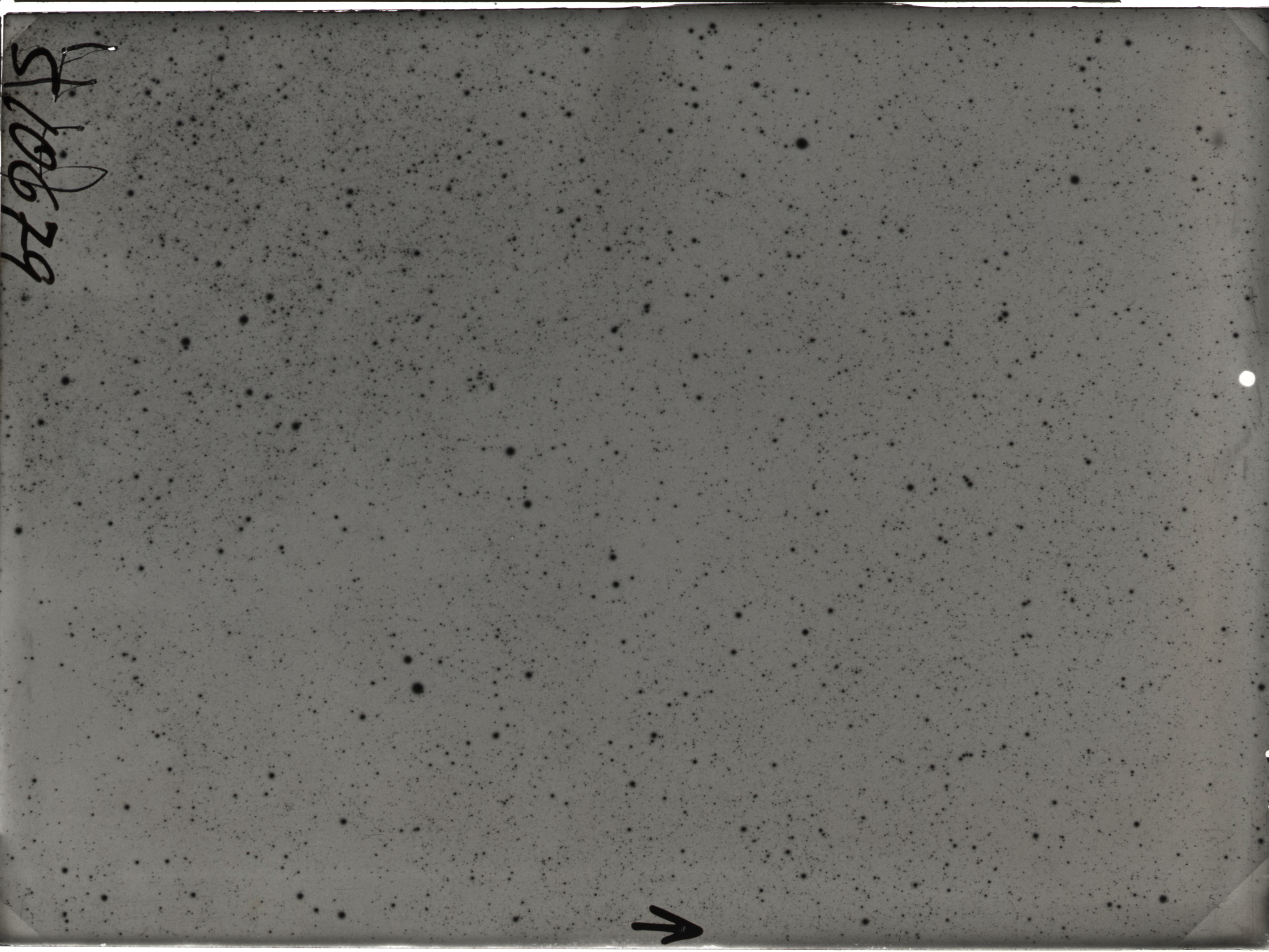Plate preview