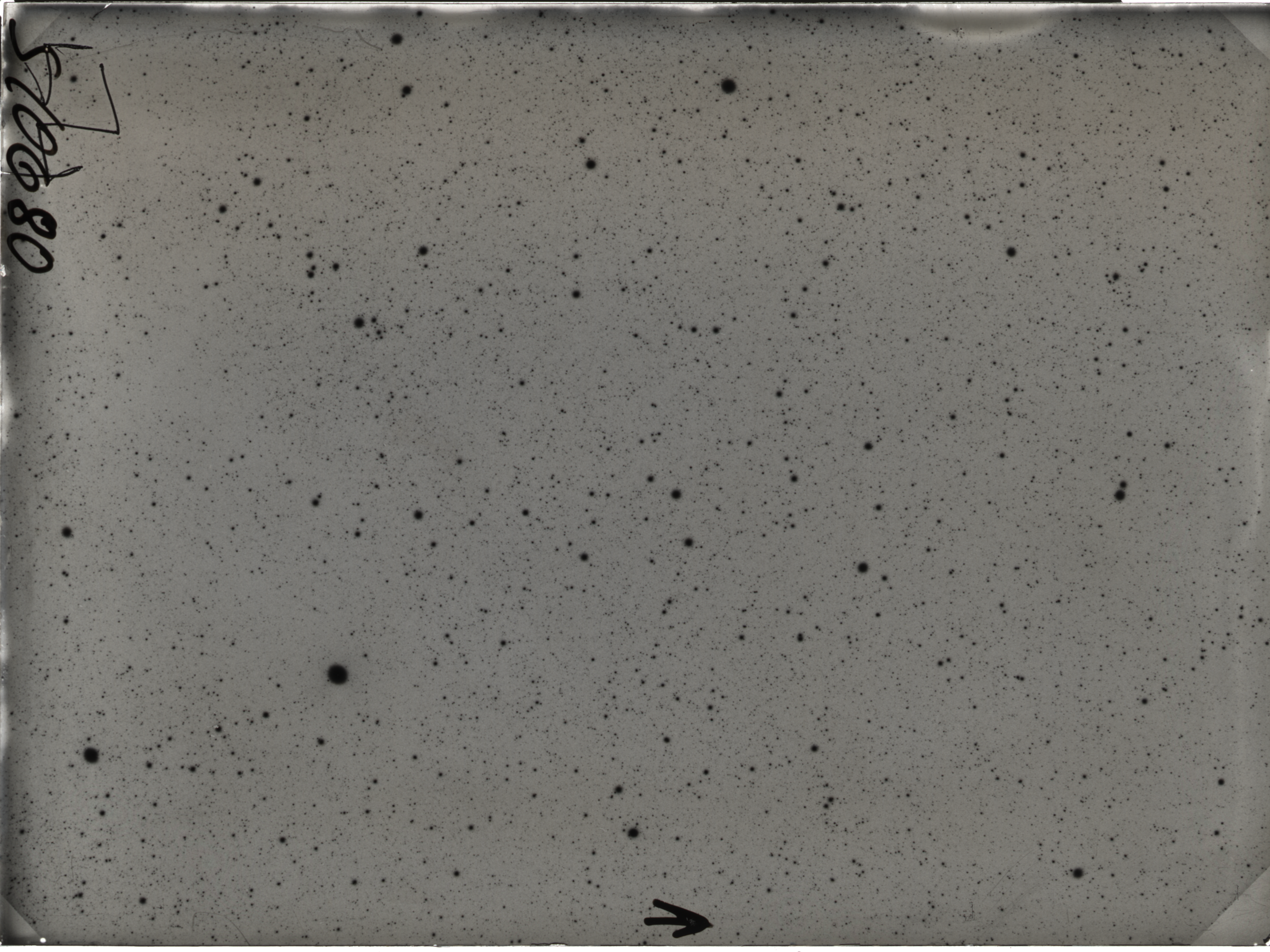 Plate preview