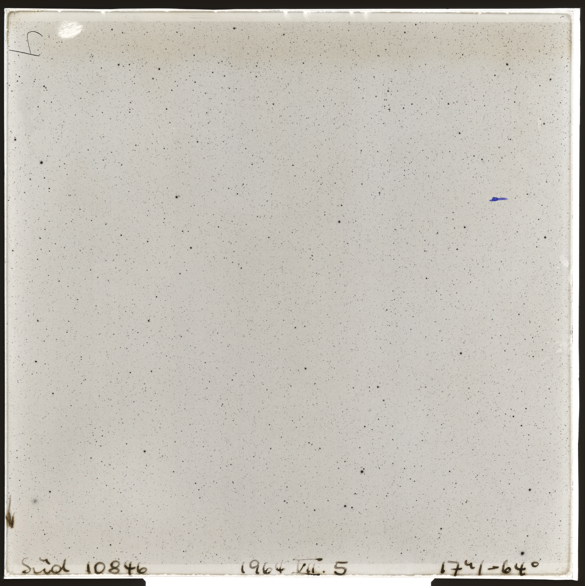 Plate preview