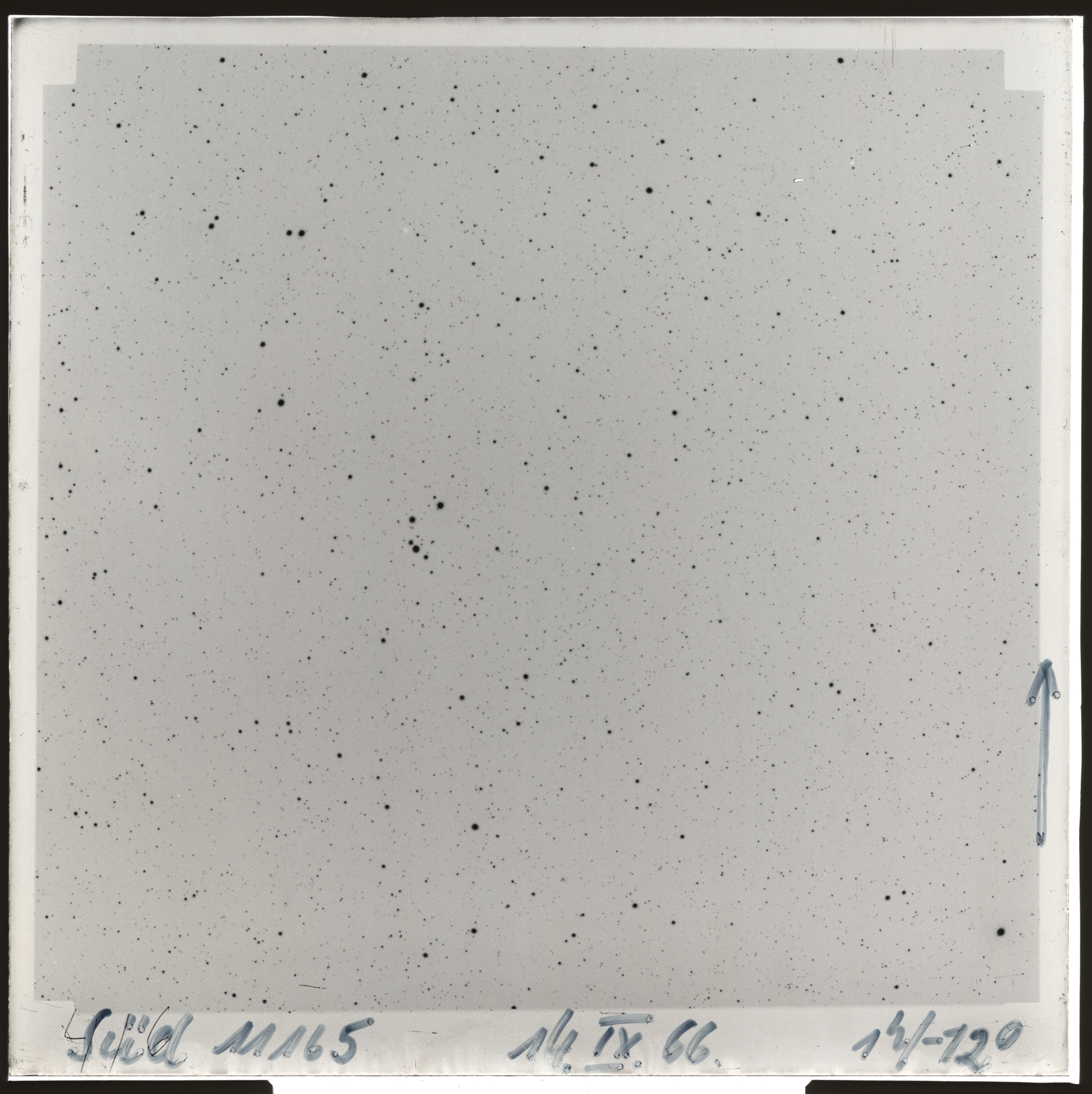 Plate preview