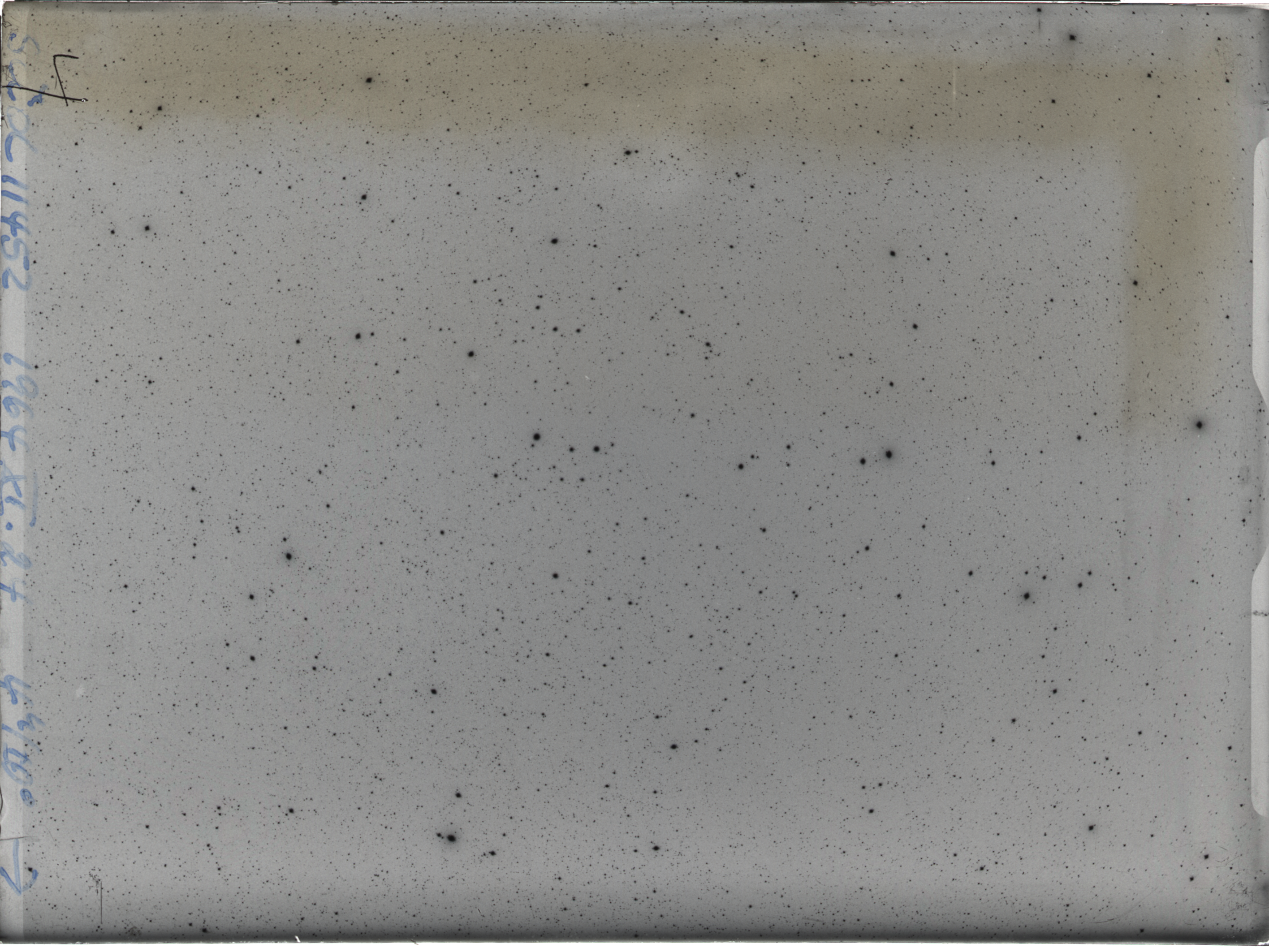 Plate preview