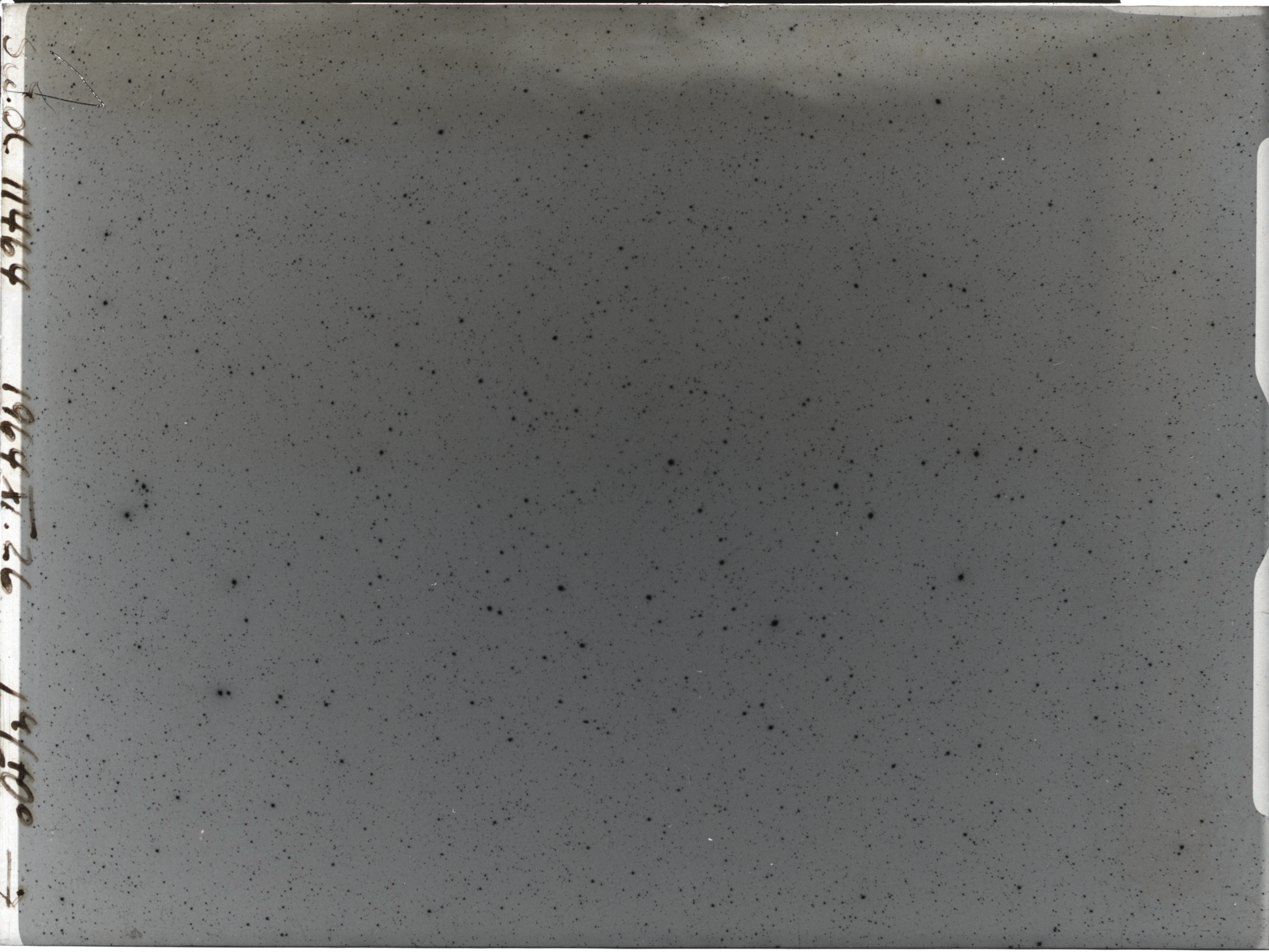 Plate preview