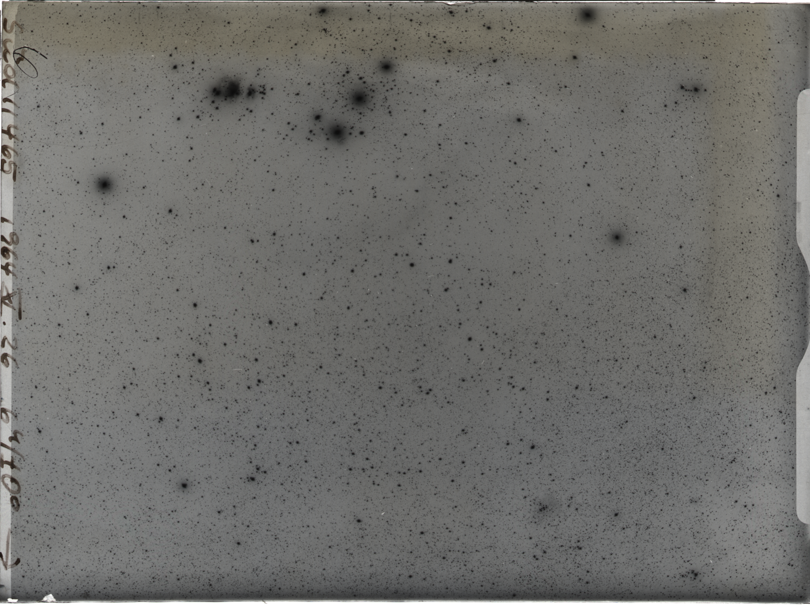 Plate preview