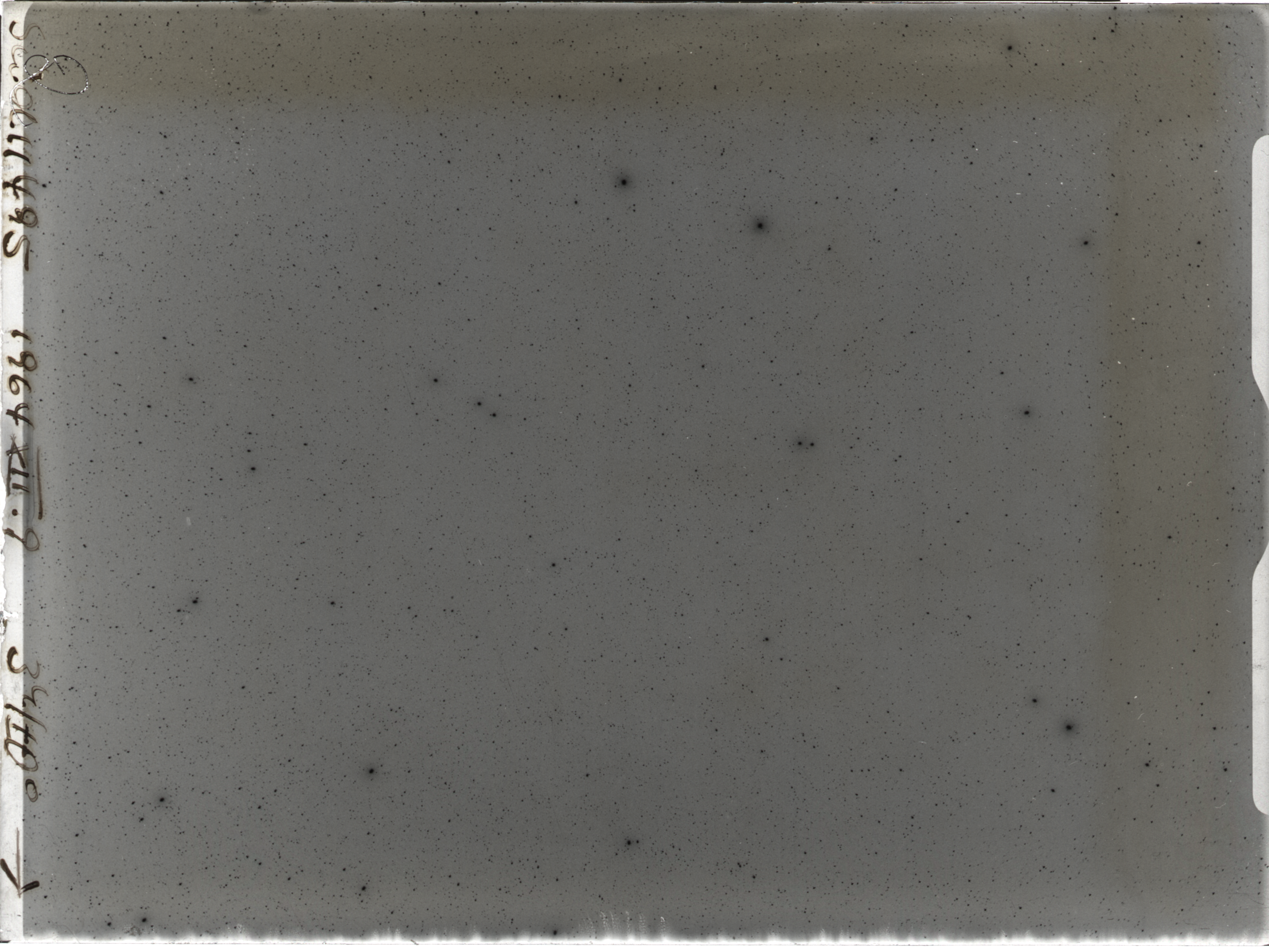 Plate preview