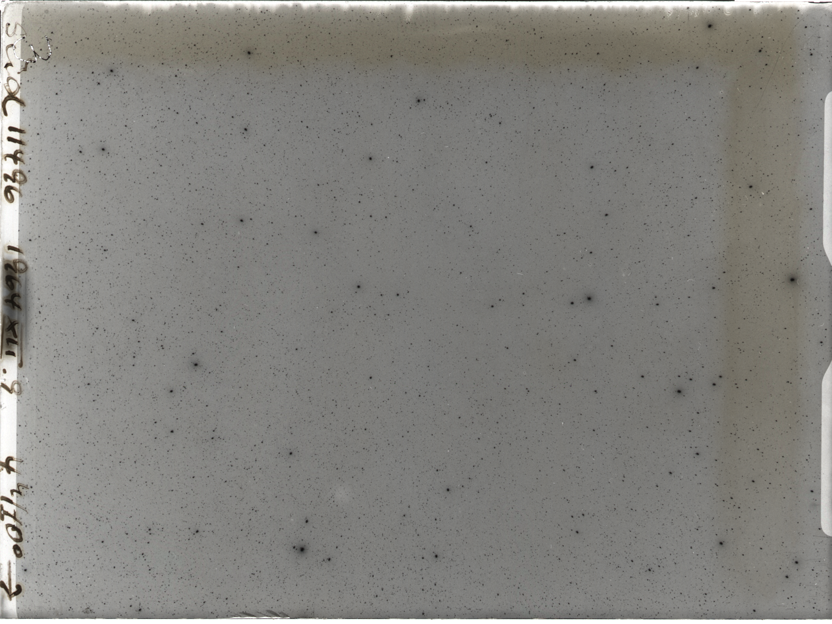 Plate preview