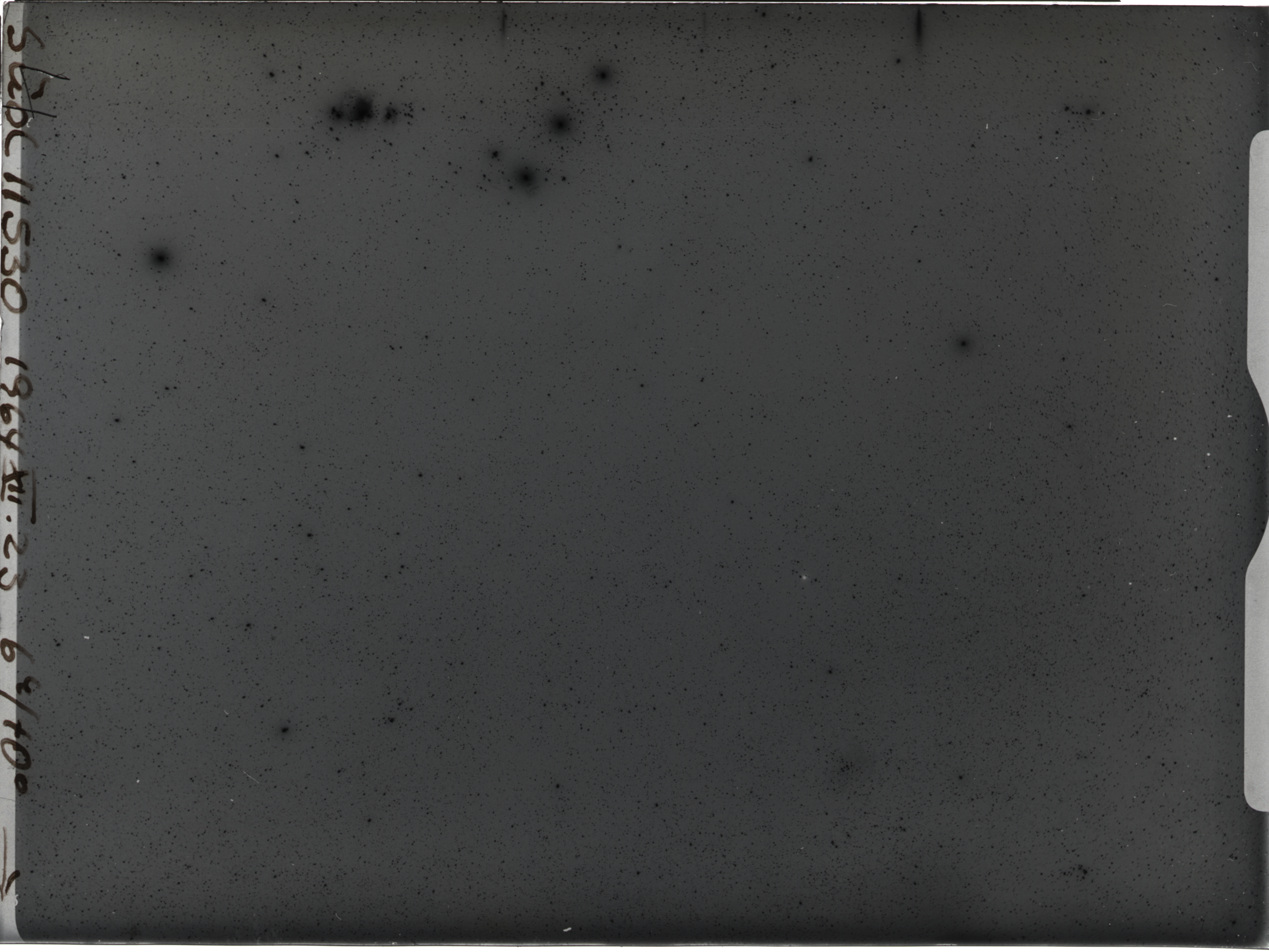 Plate preview