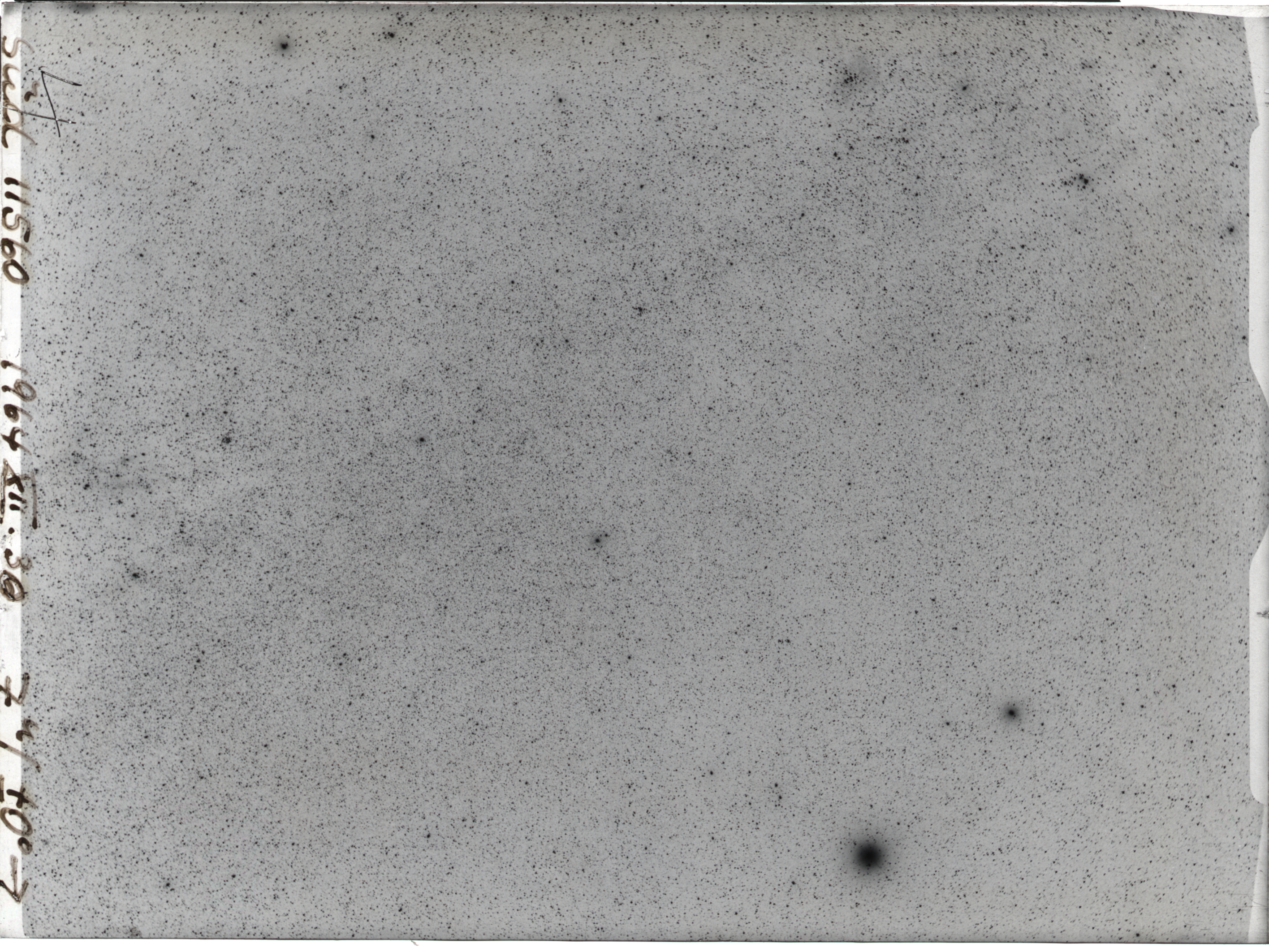 Plate preview
