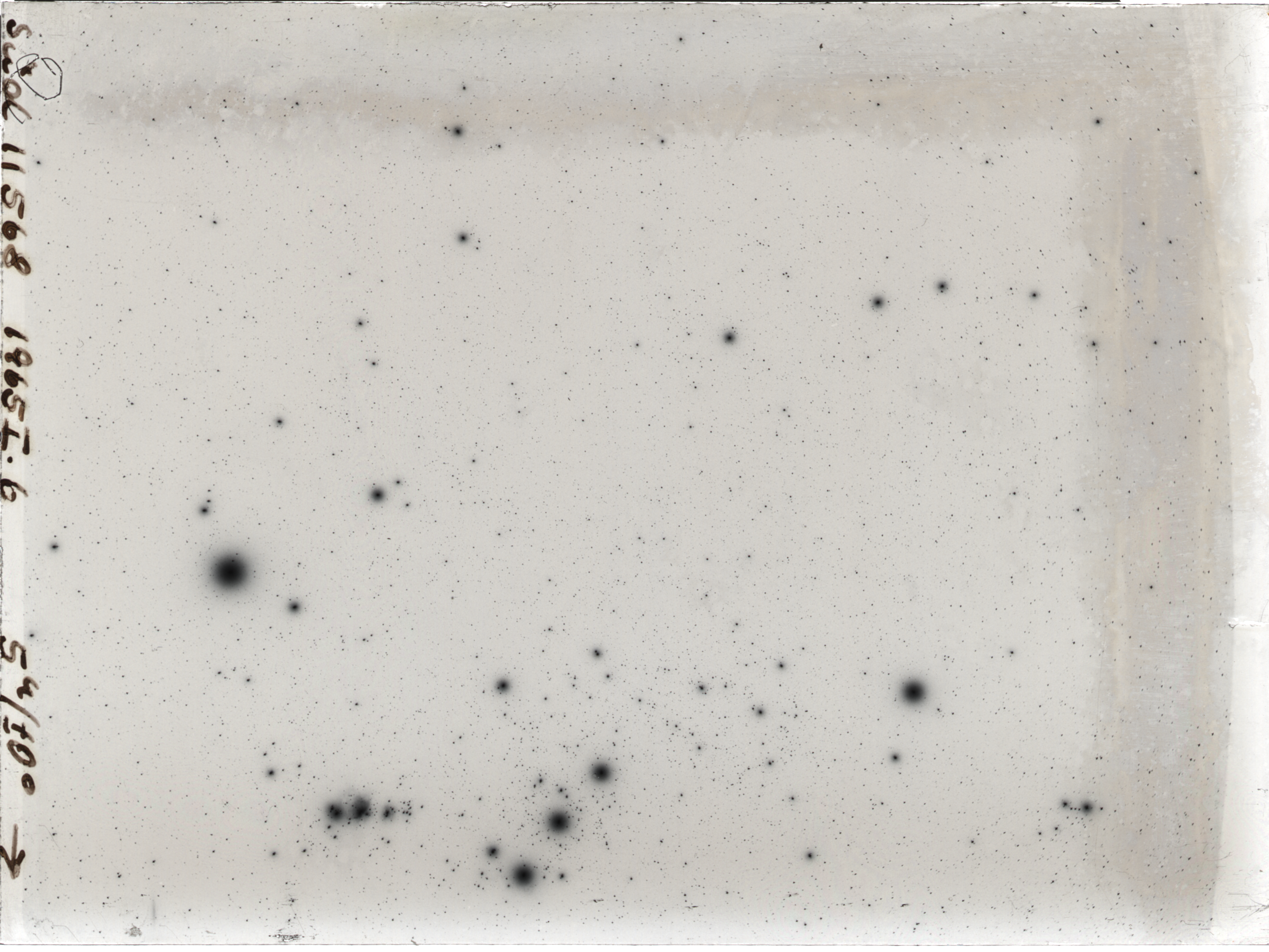 Plate preview