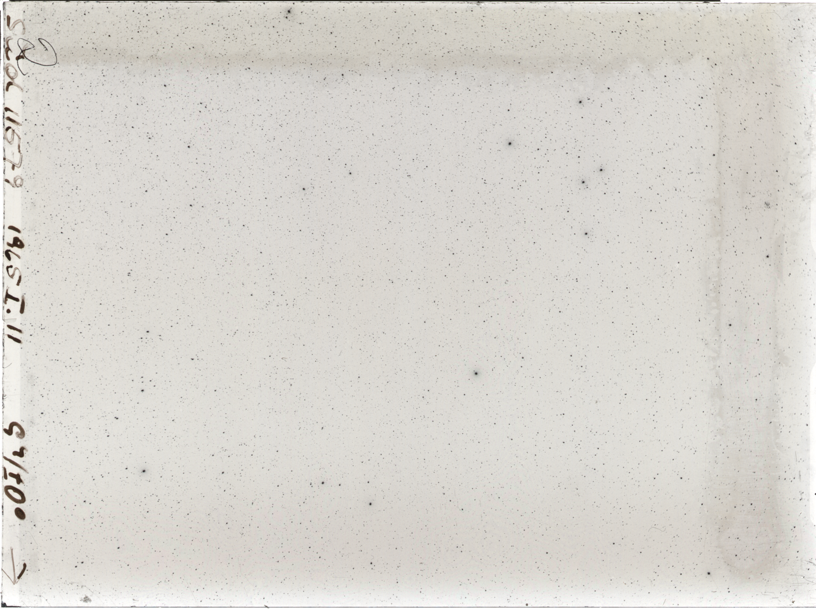 Plate preview