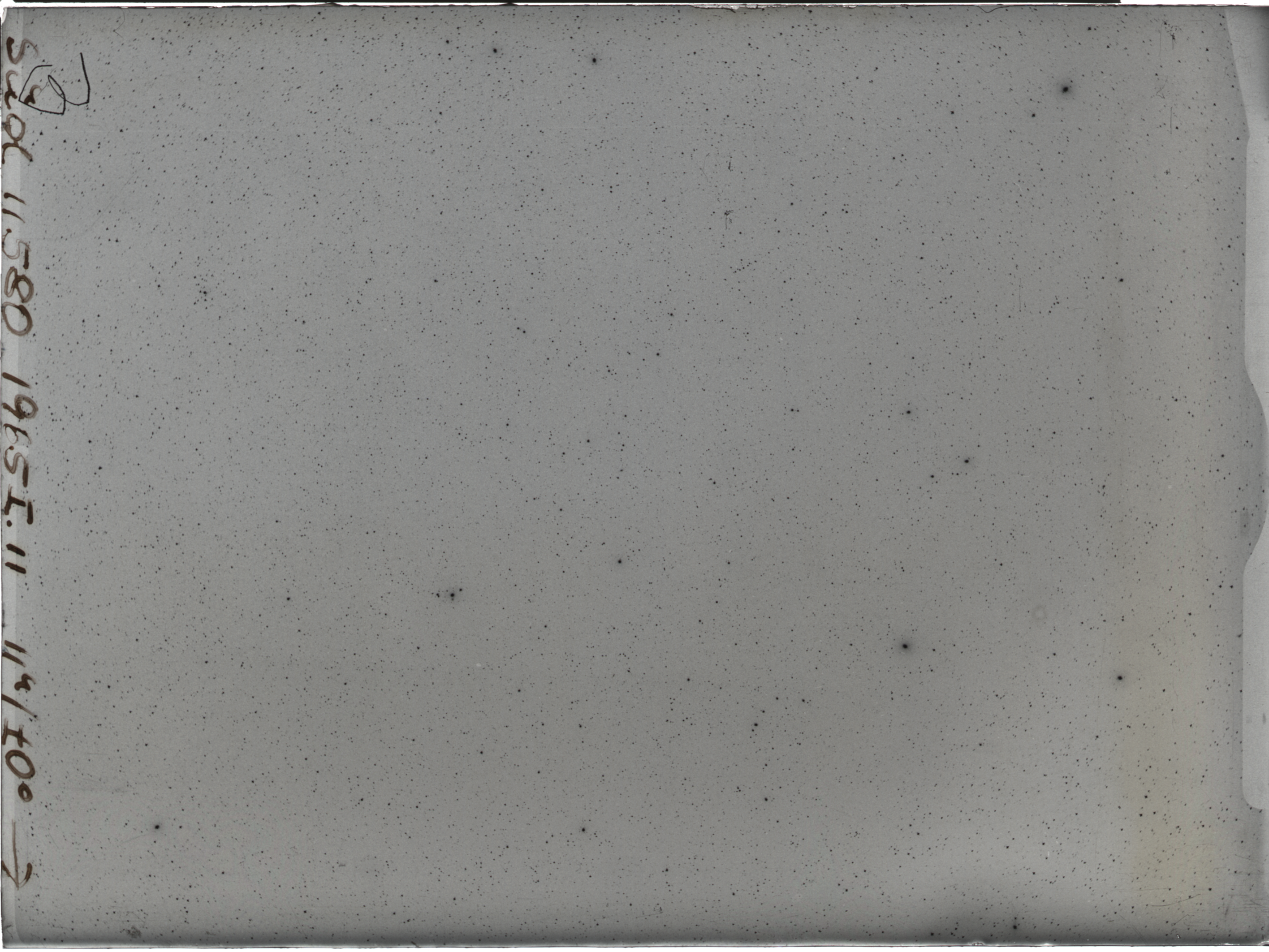 Plate preview