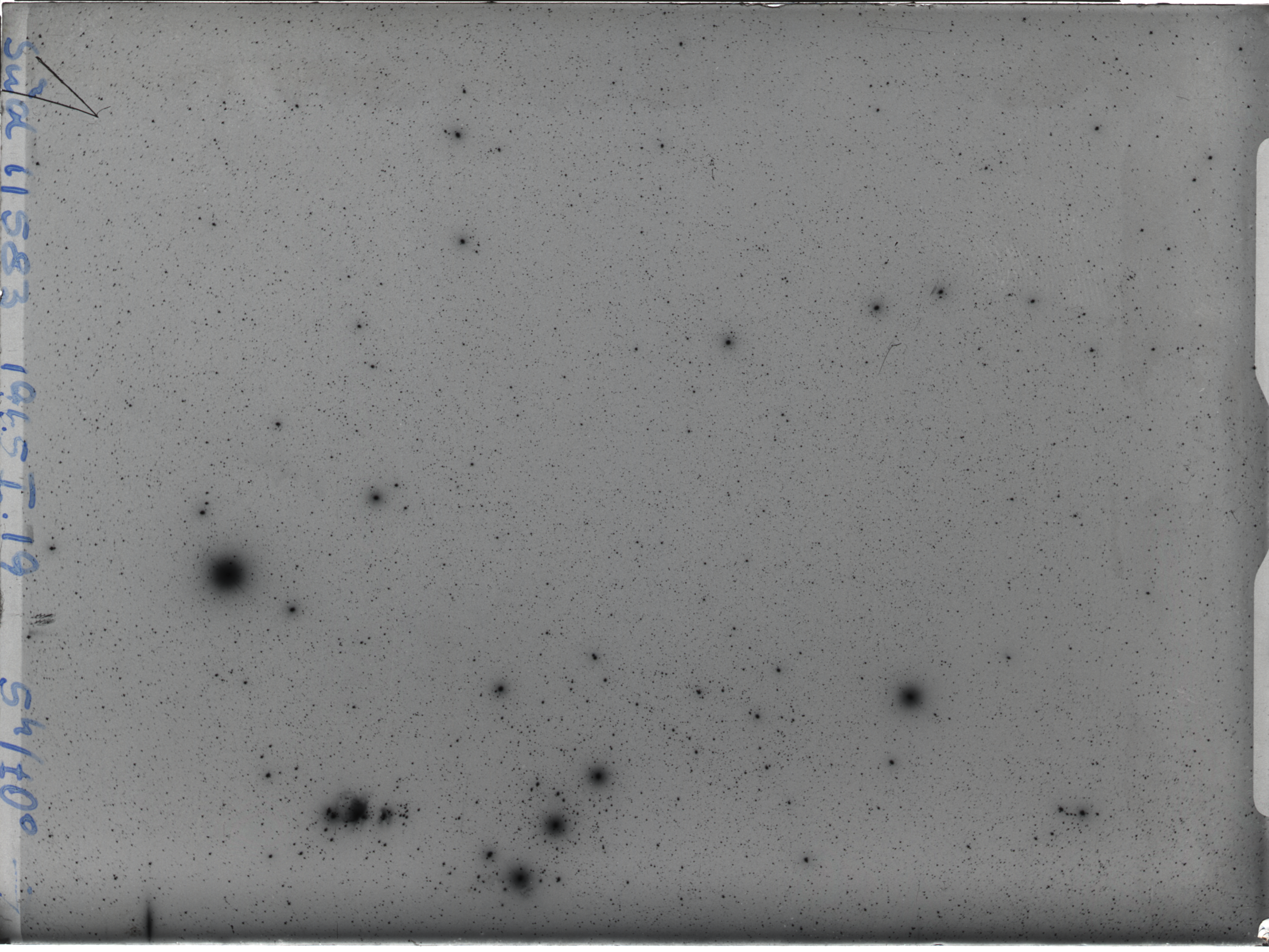 Plate preview