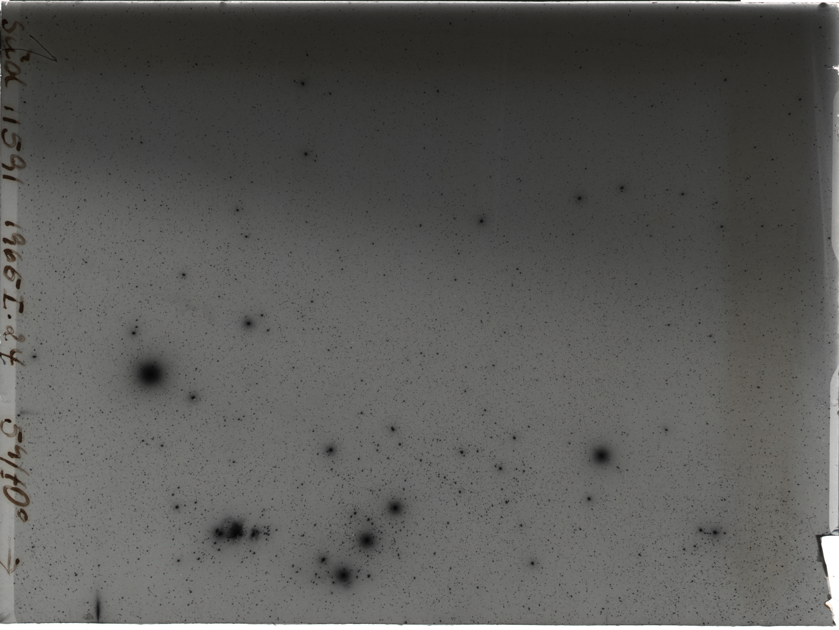 Plate preview