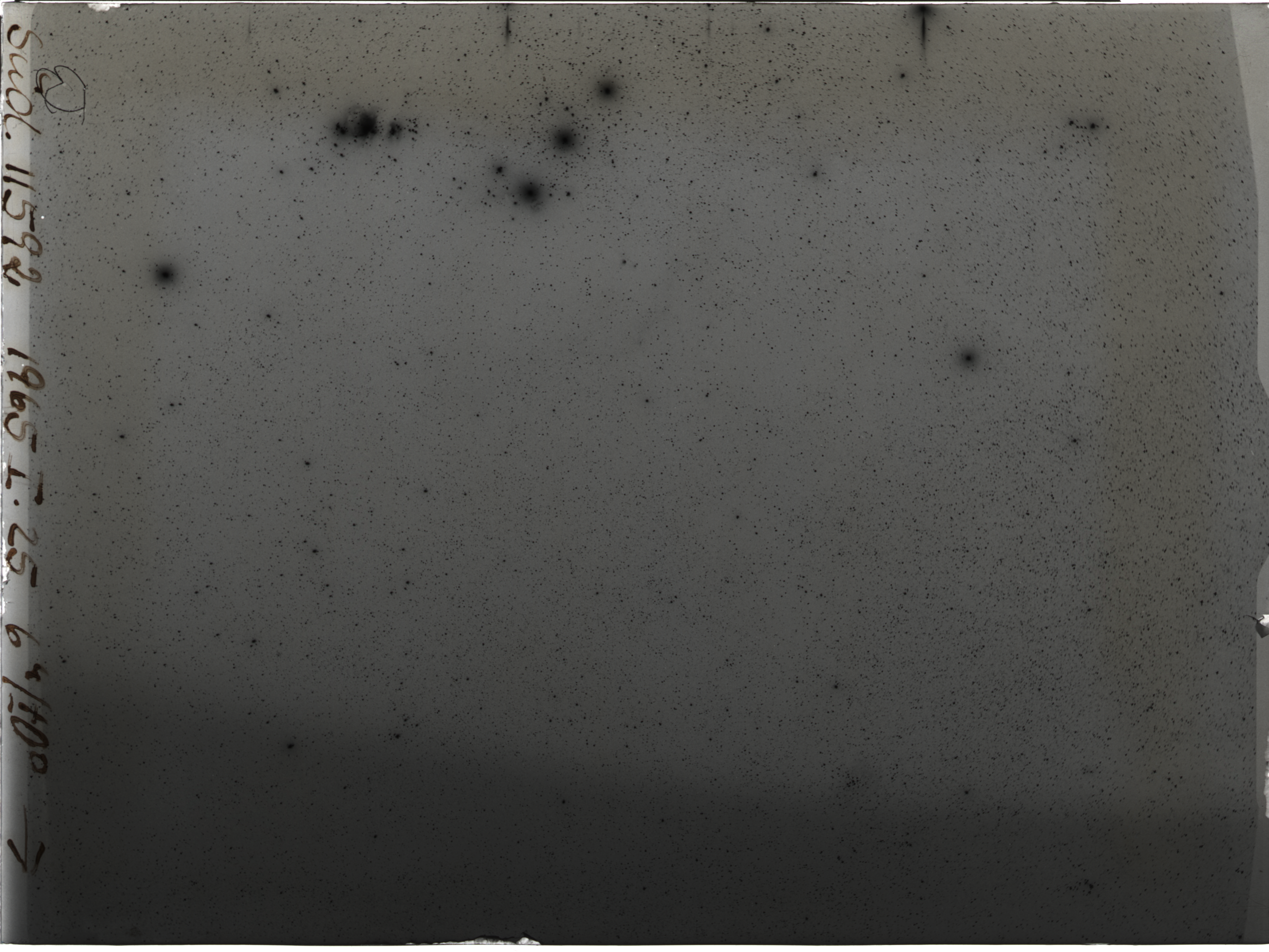 Plate preview