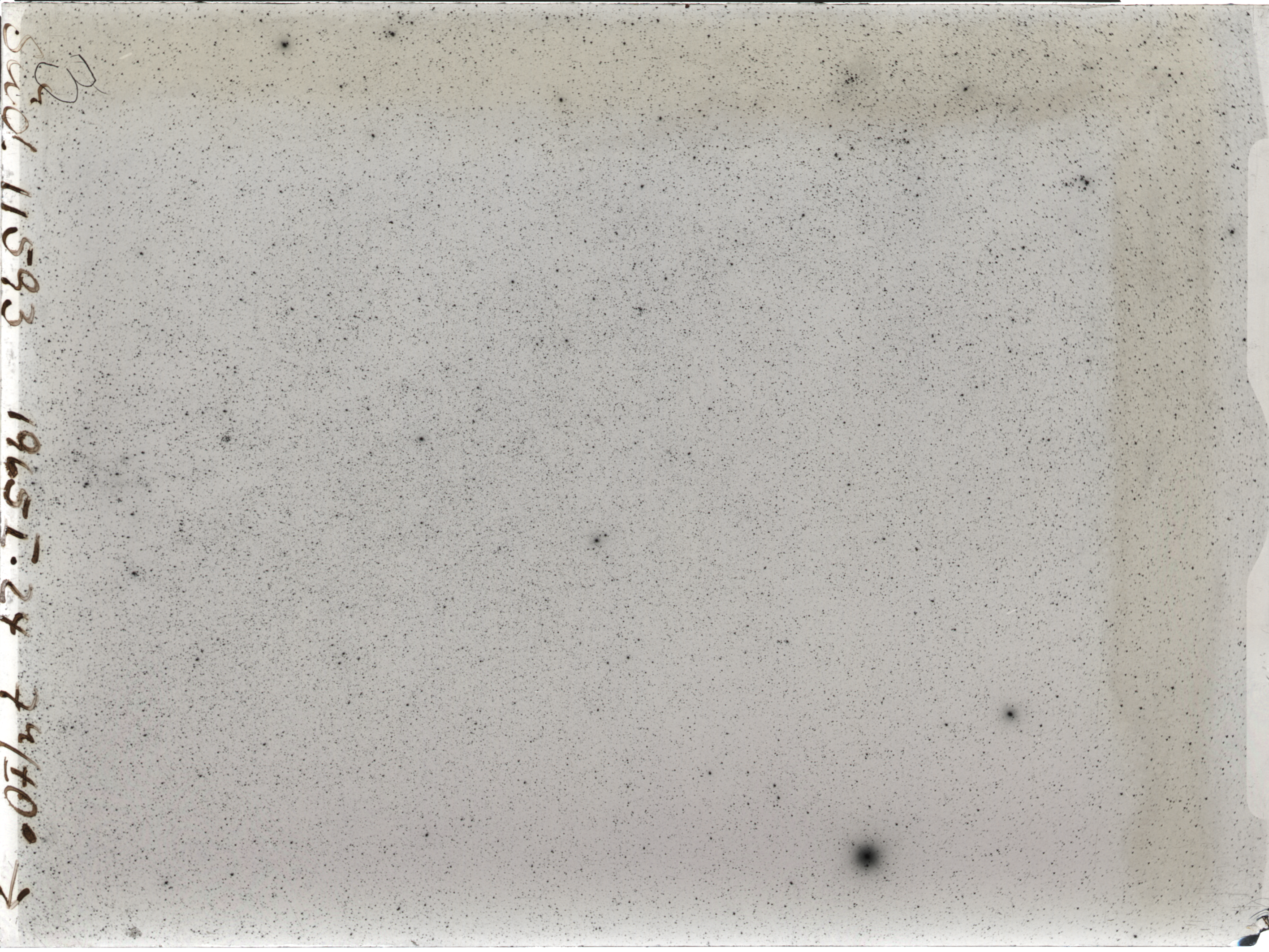 Plate preview
